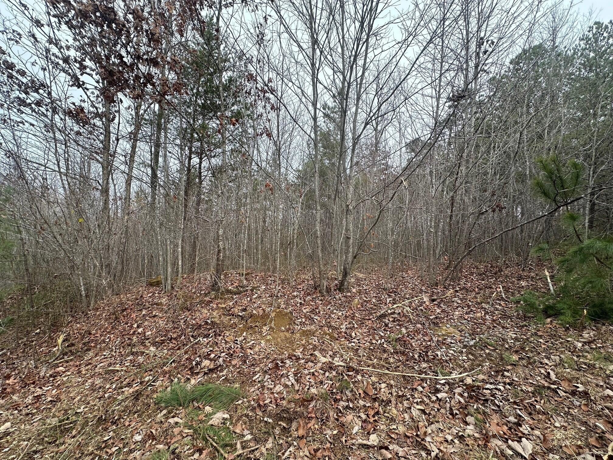 Photo of Listing #2771014