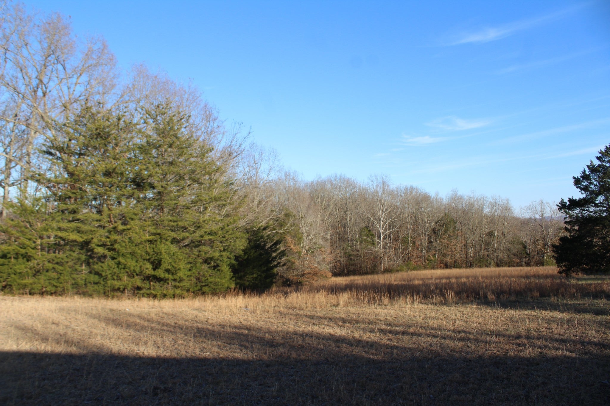 Photo of Listing #2772957