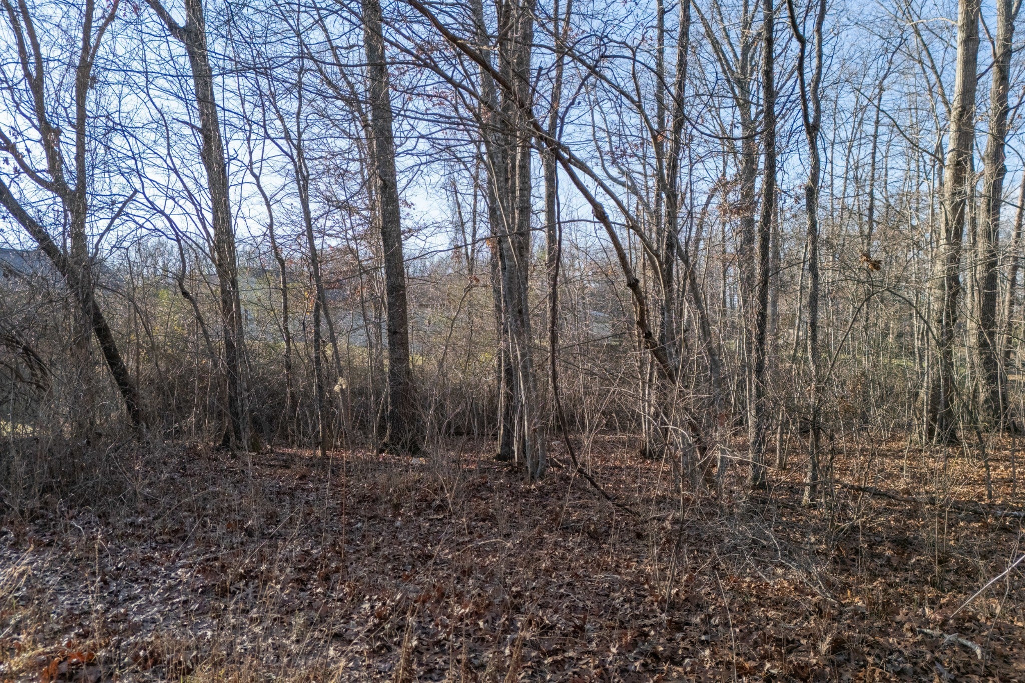 Photo of Listing #2774380
