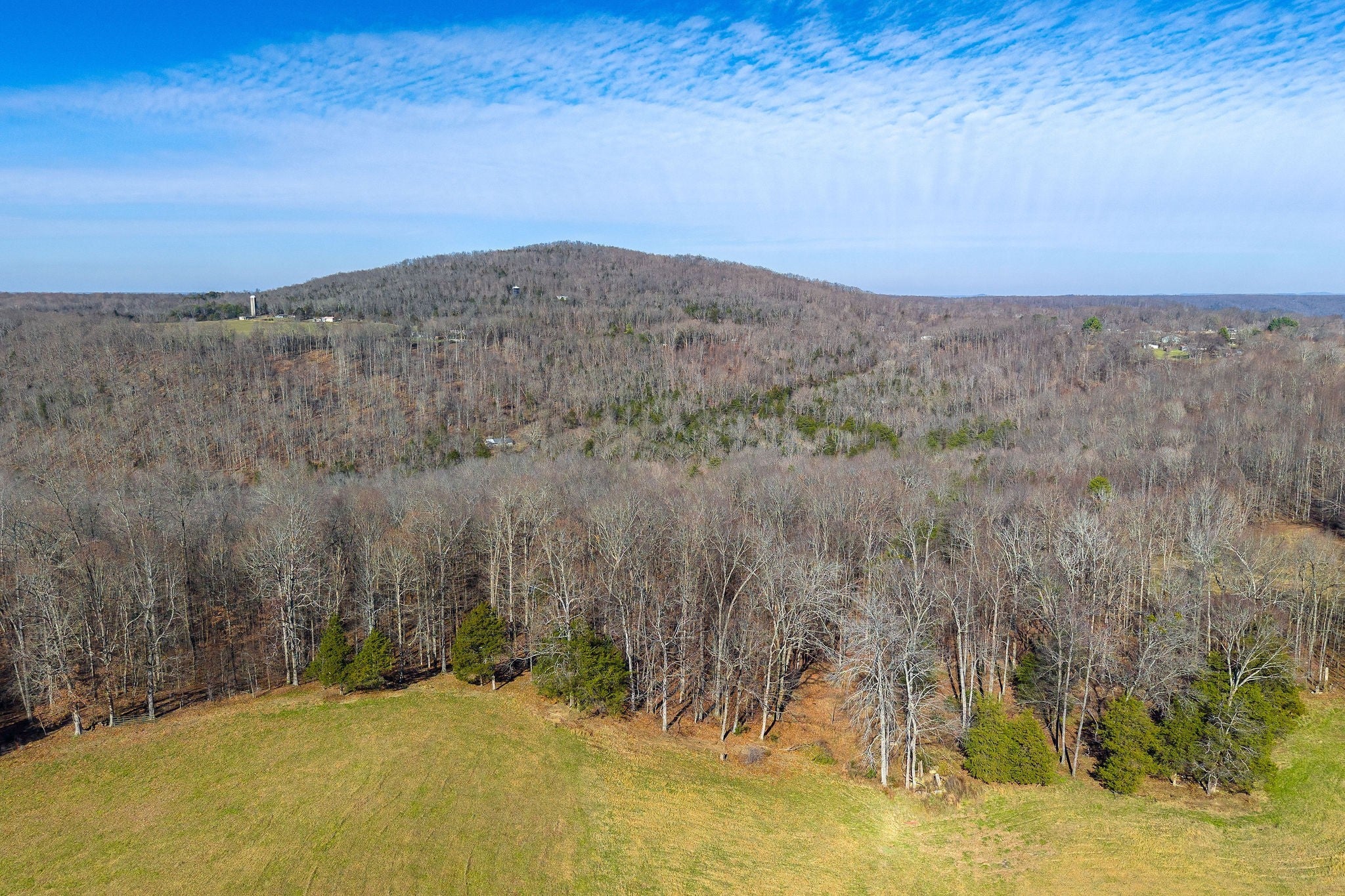 Photo of Listing #2774448