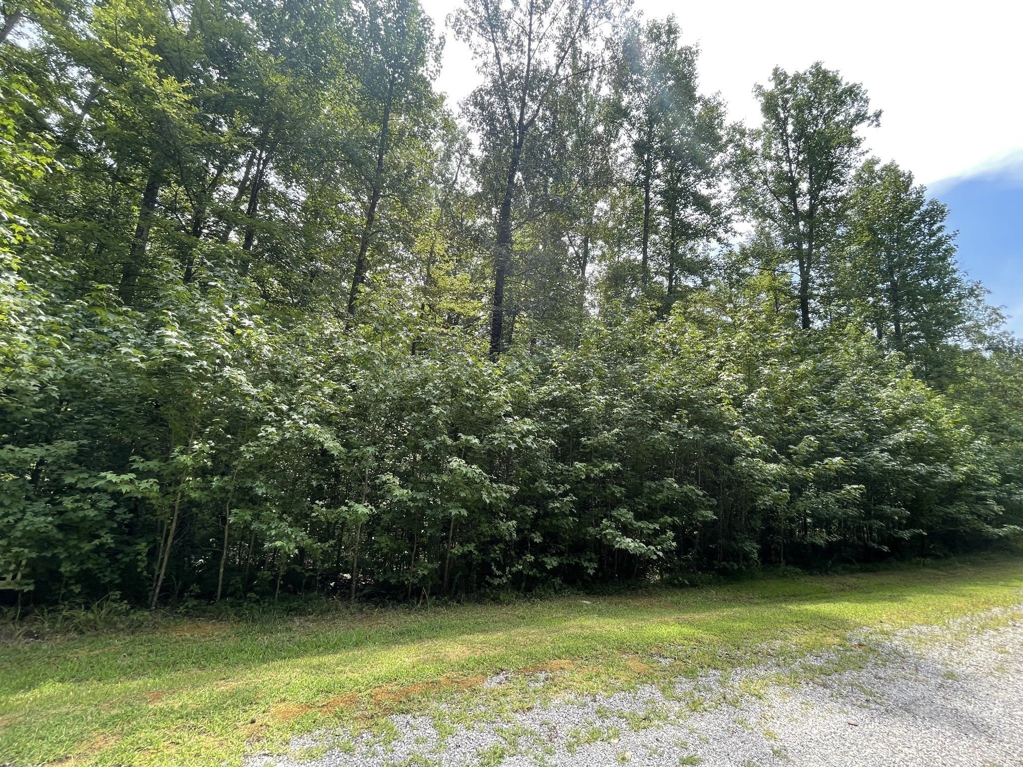Photo of Listing #2774599