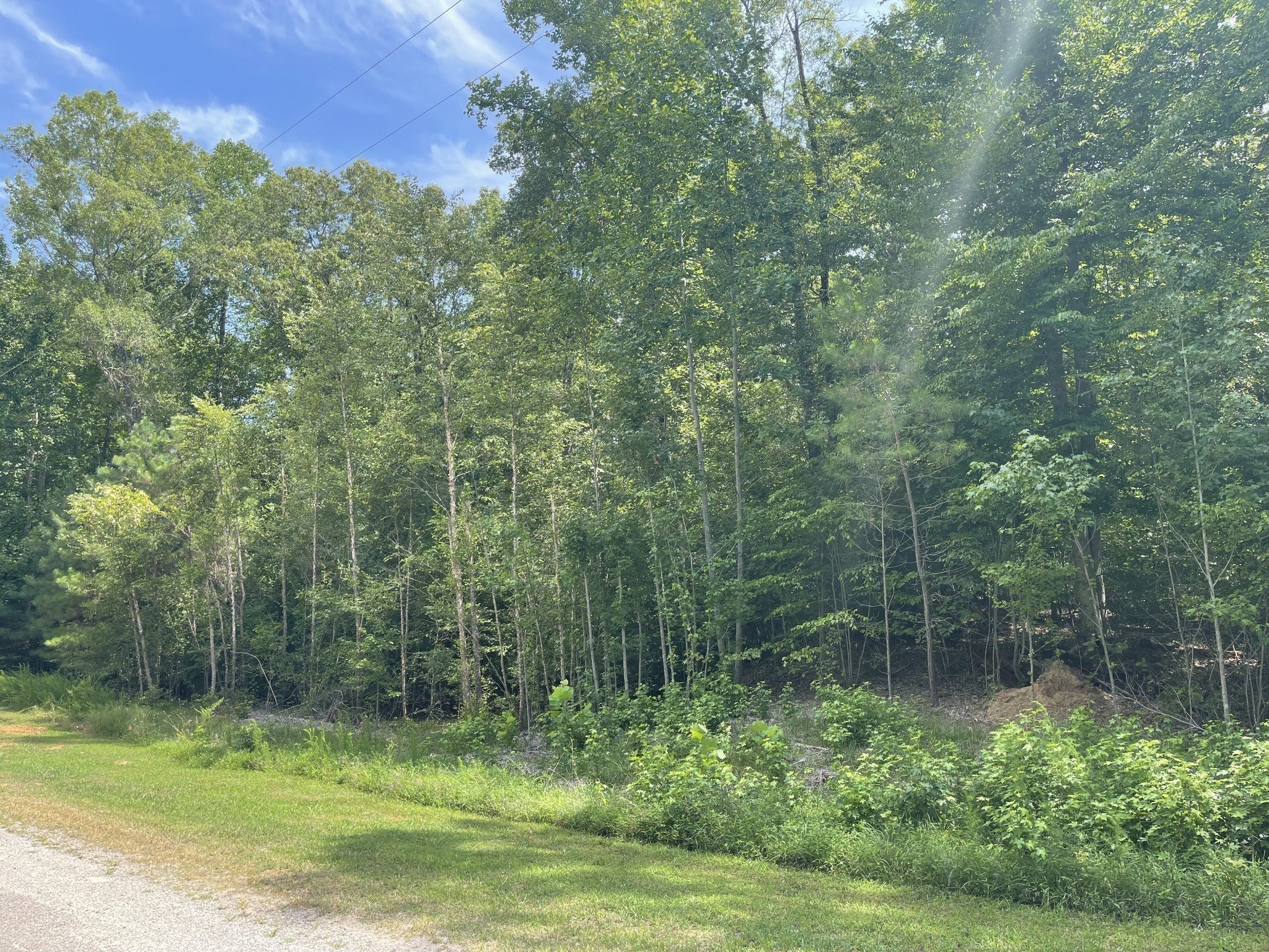 Photo of Listing #2774601