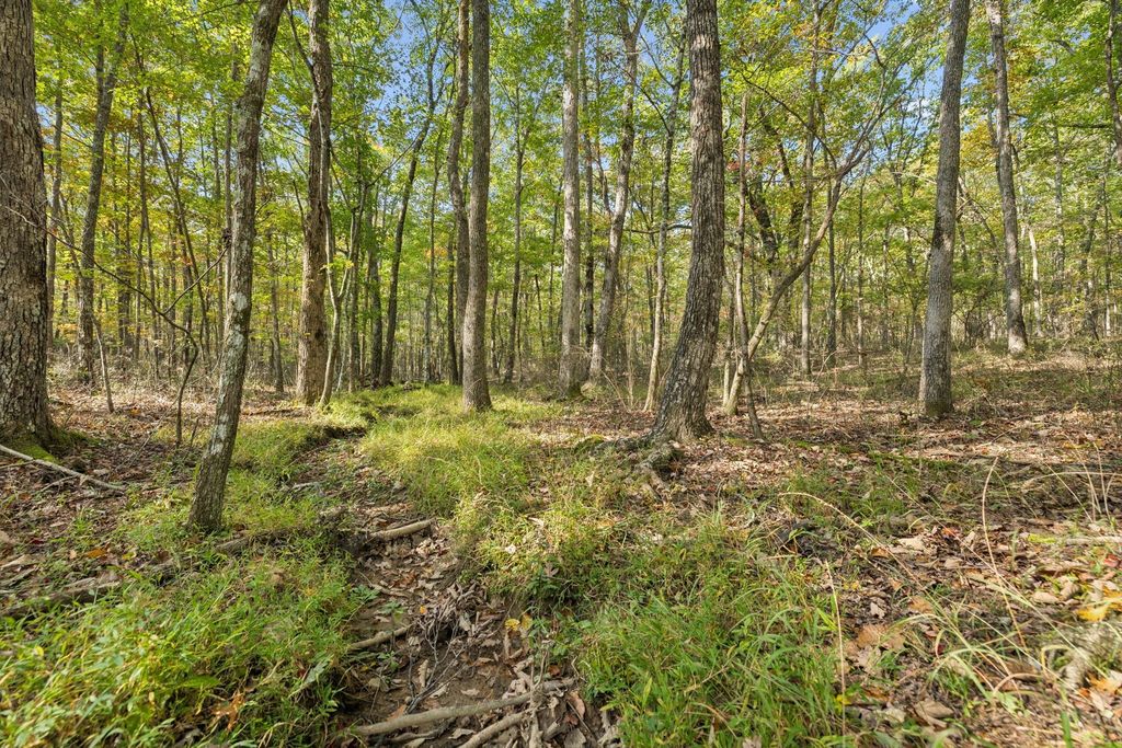 0 Timberwood Trace, Monteagle