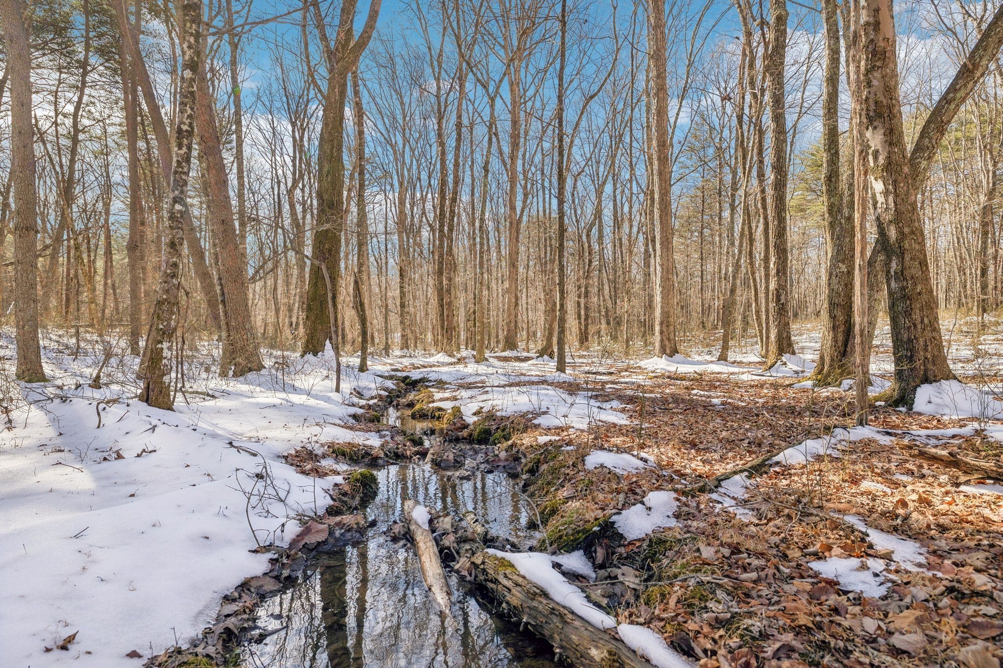 Photo of Listing #2775759