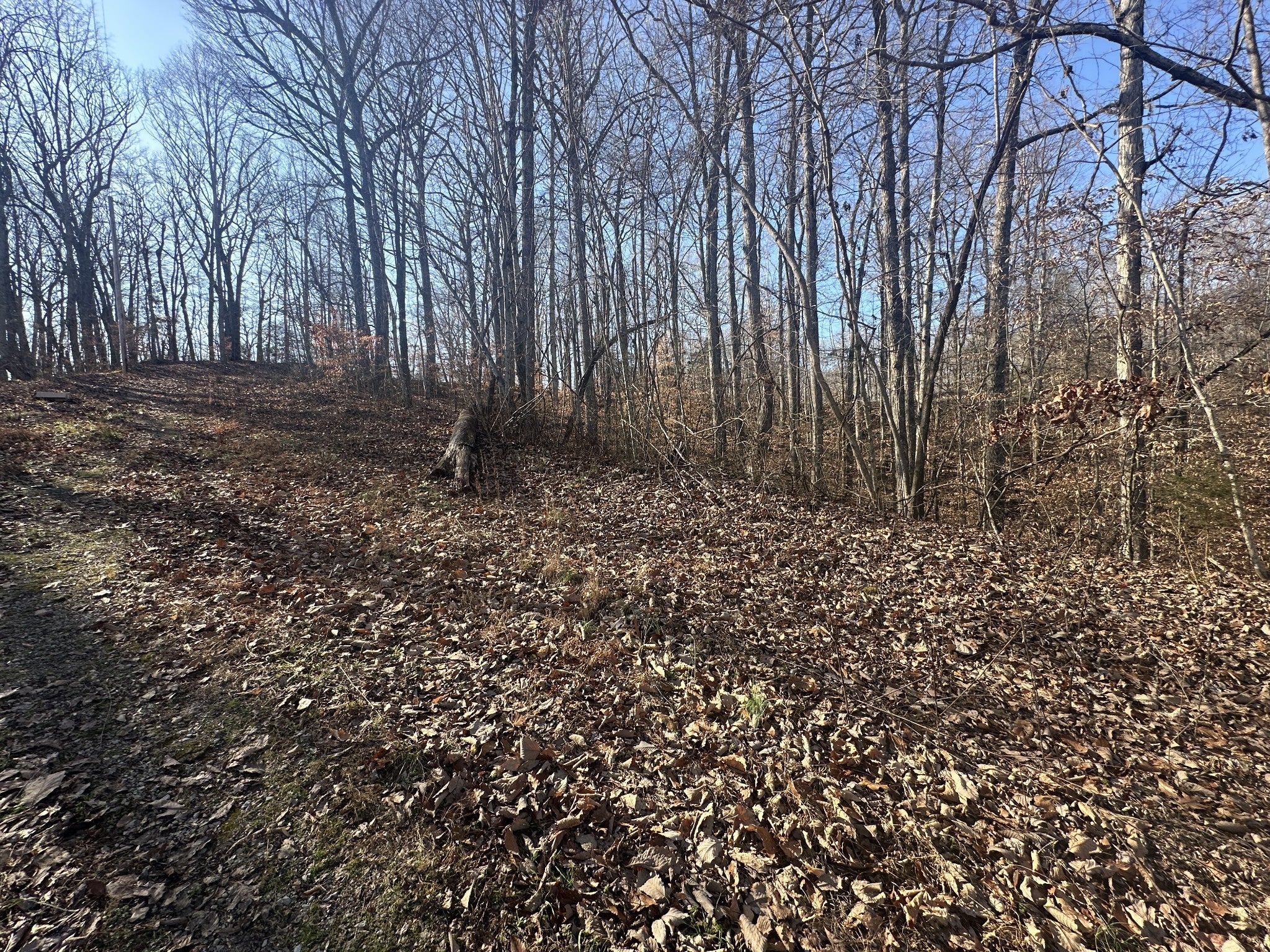 Photo of Listing #2776623