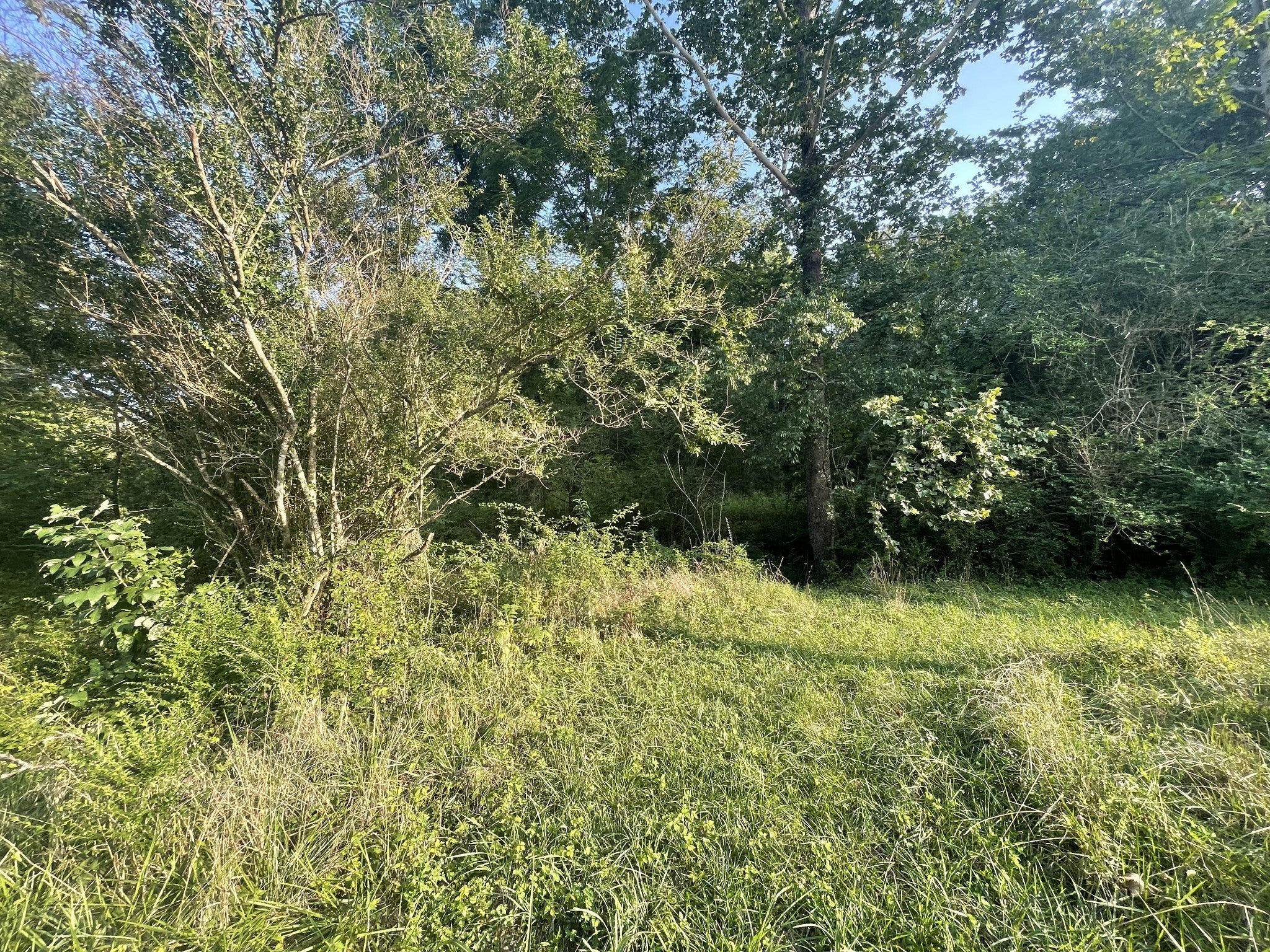 Photo of Listing #2776848