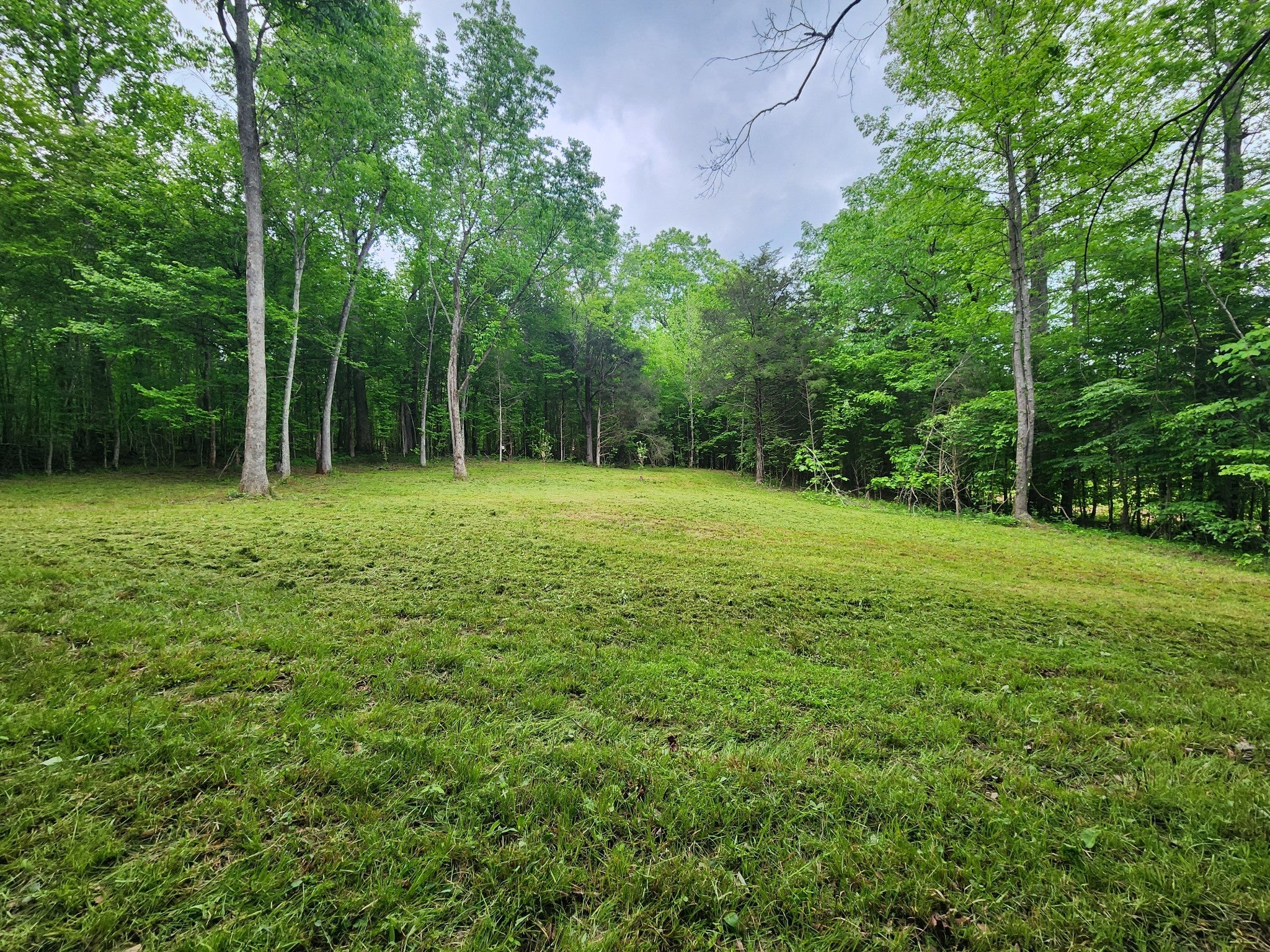 Photo of Listing #2777500