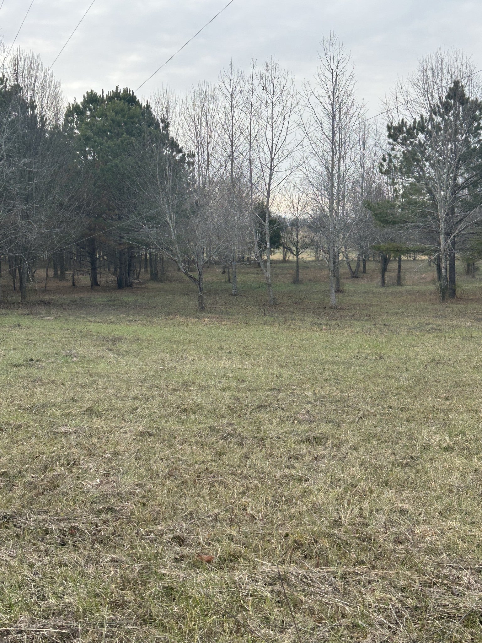 Photo of Listing #2778184