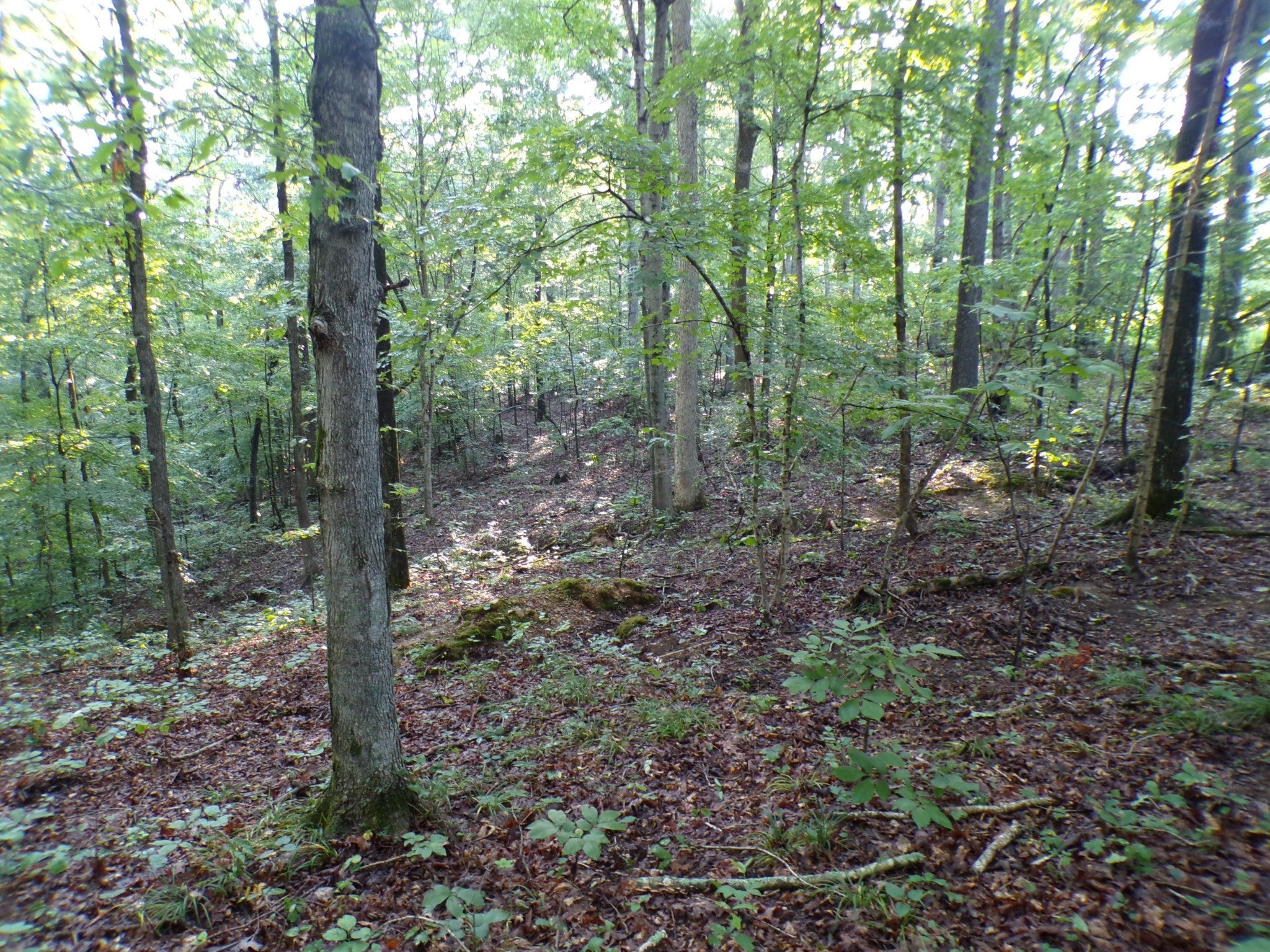 Photo of Listing #2779691
