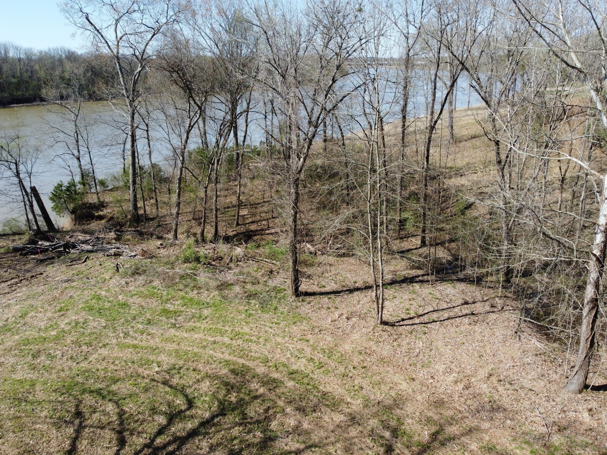 Photo of Listing #2779886