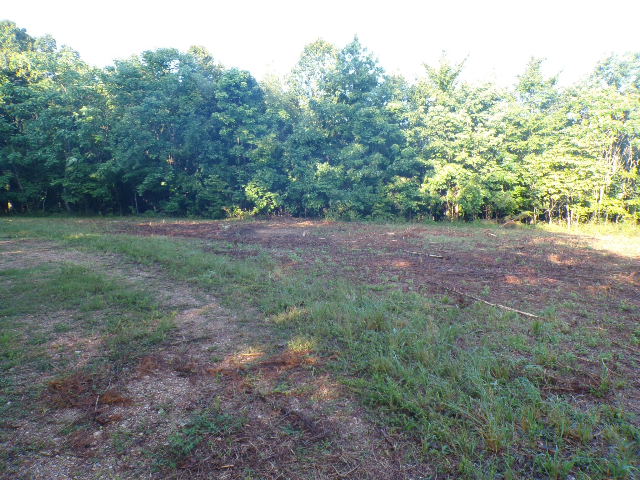Photo of Listing #2780235