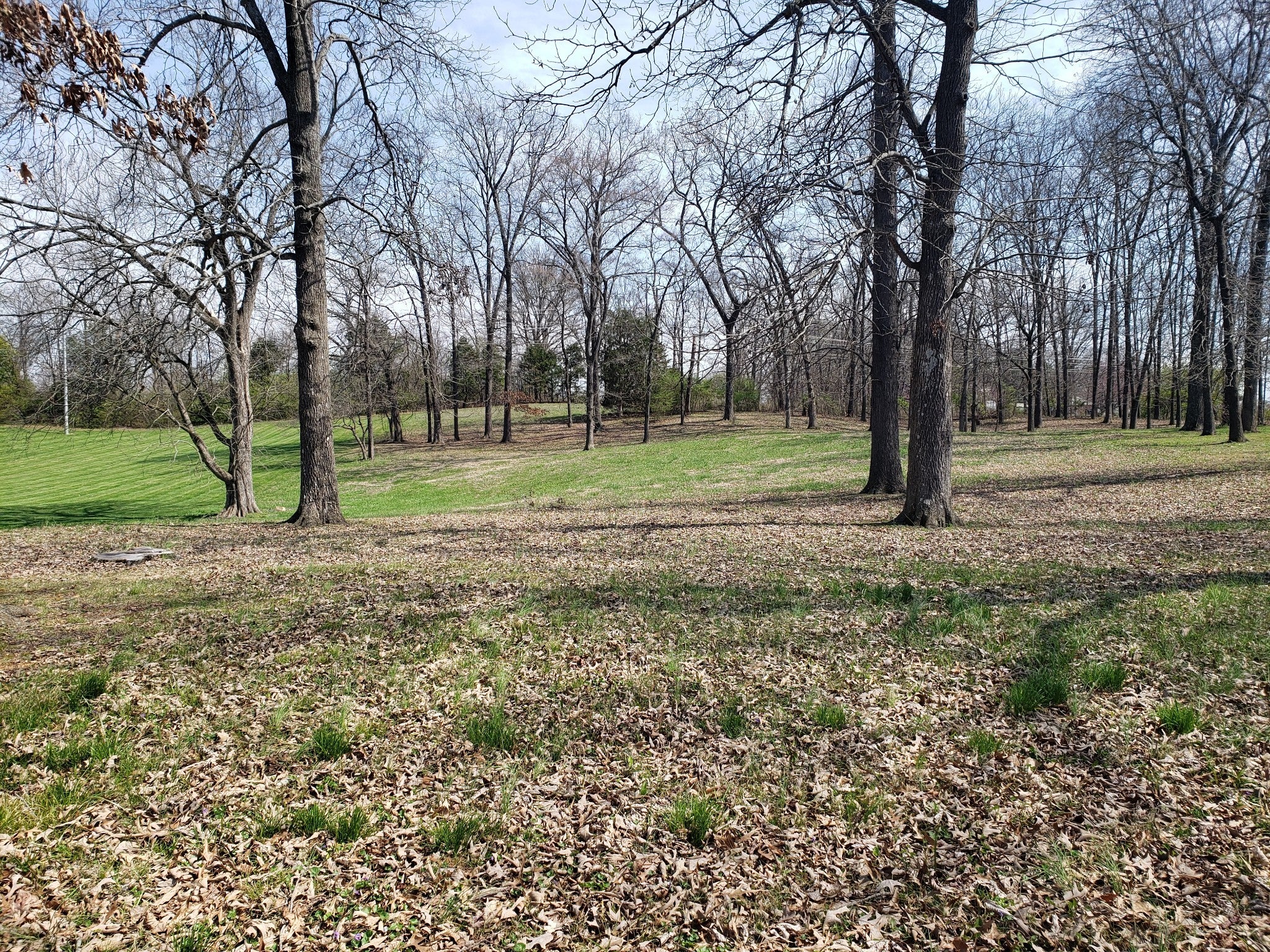 Photo of Listing #2780576