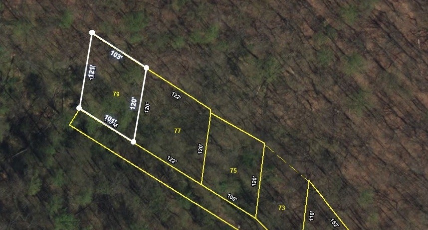 Photo of Listing #2780669