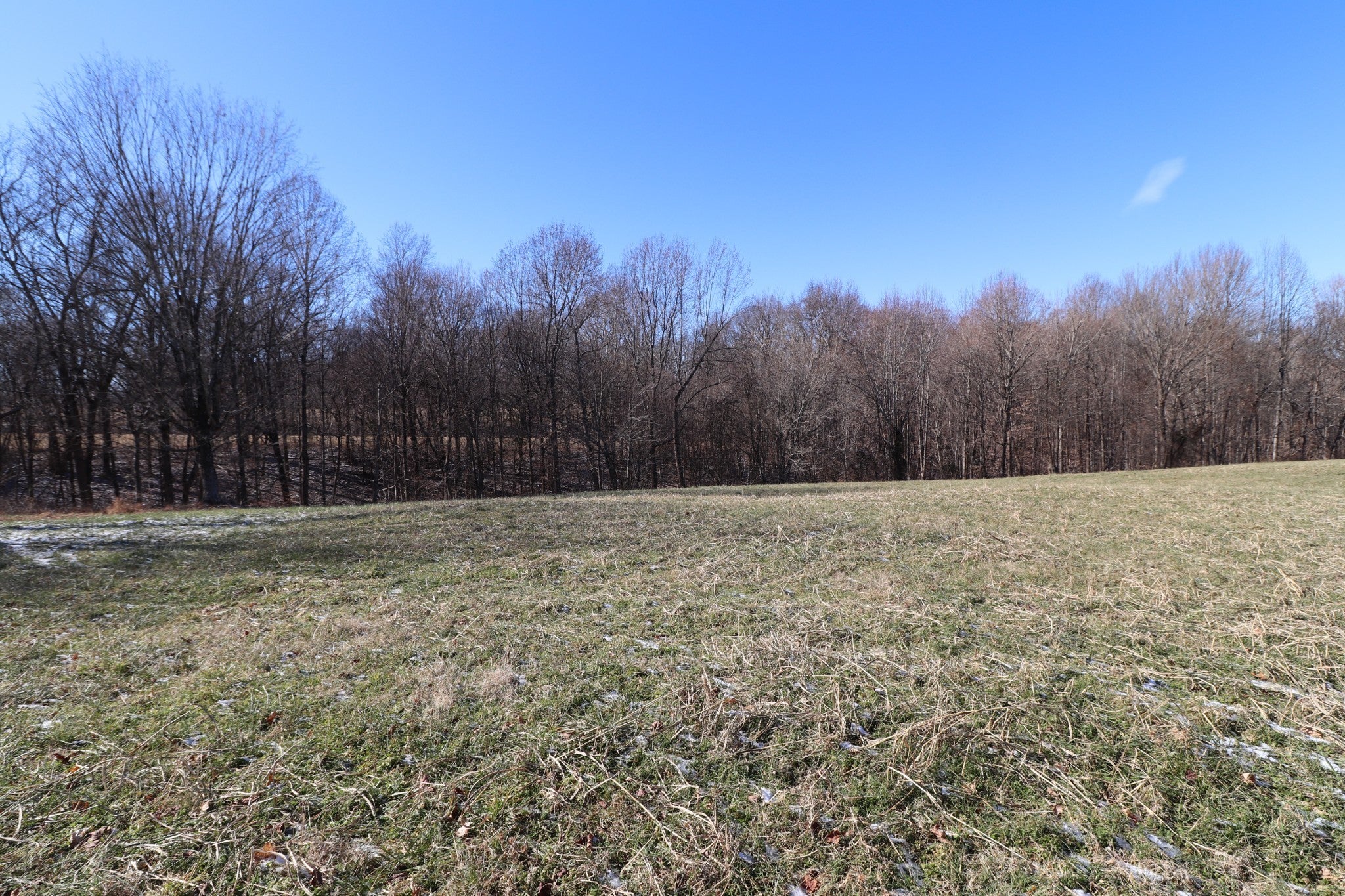 Photo of Listing #2781060