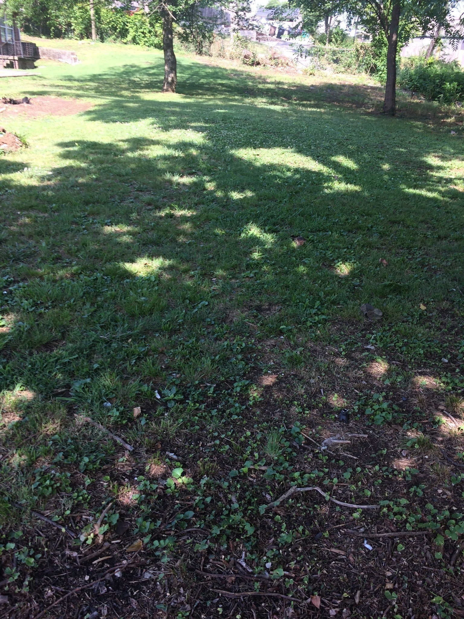 Photo of Listing #2781661