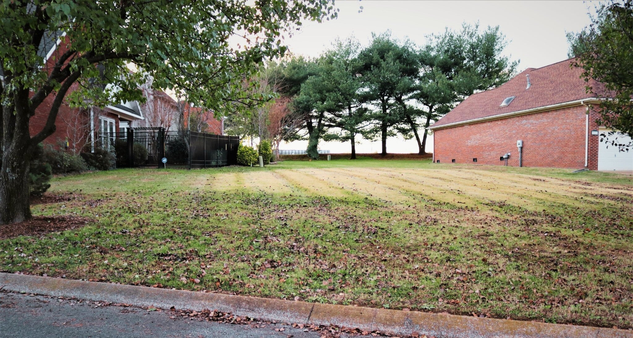 Photo of Listing #2781814