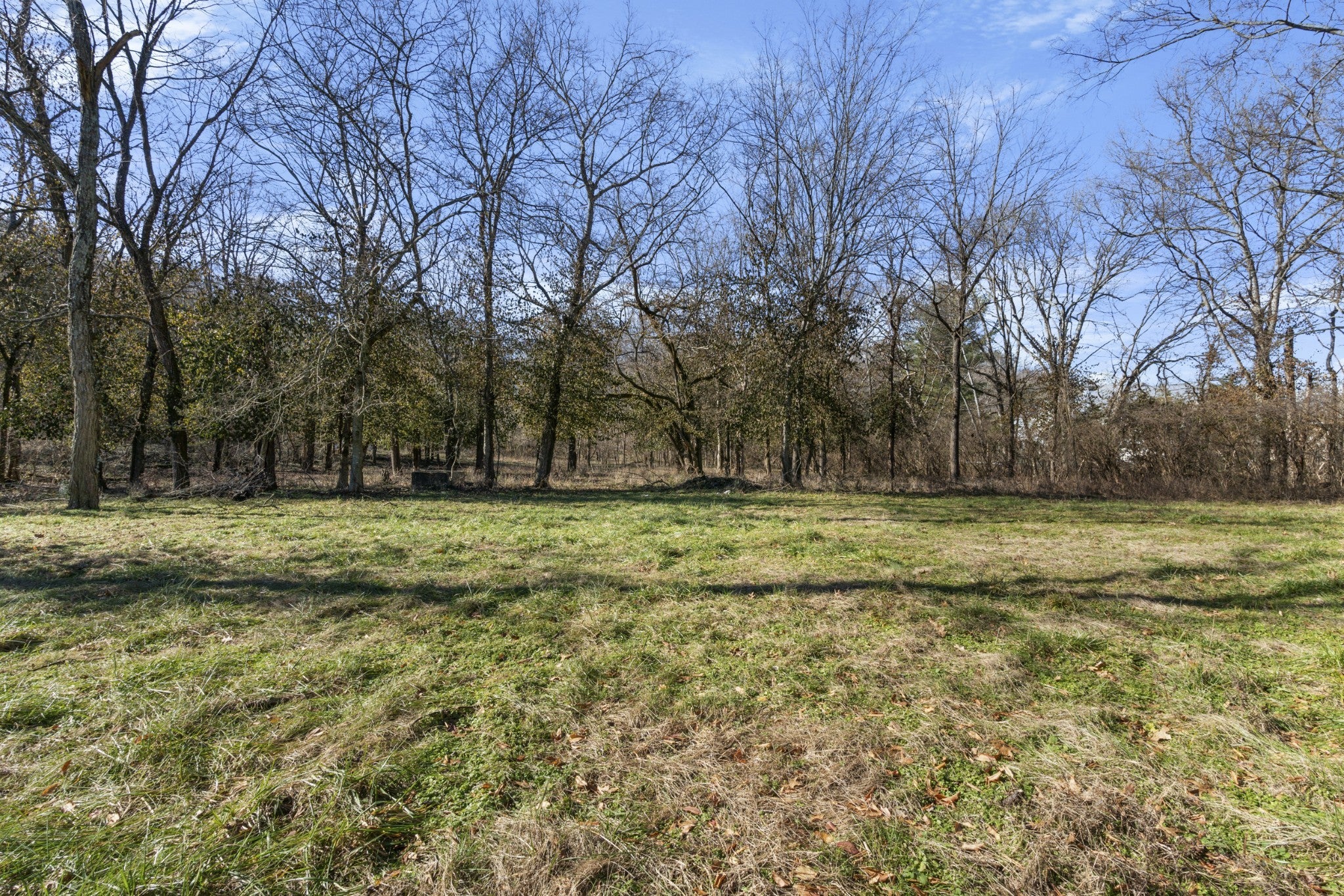 Photo of Listing #2781886