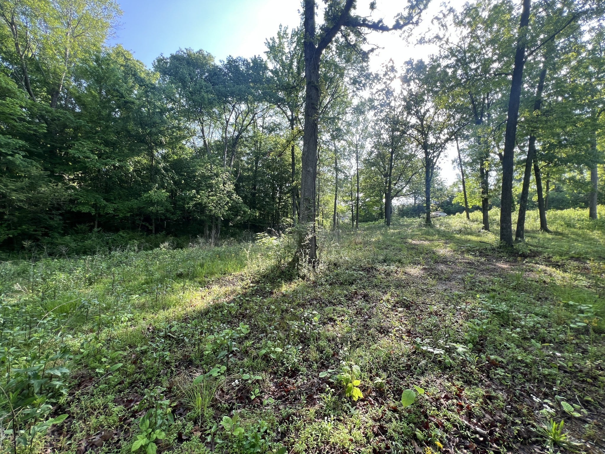 Photo of Listing #2784268