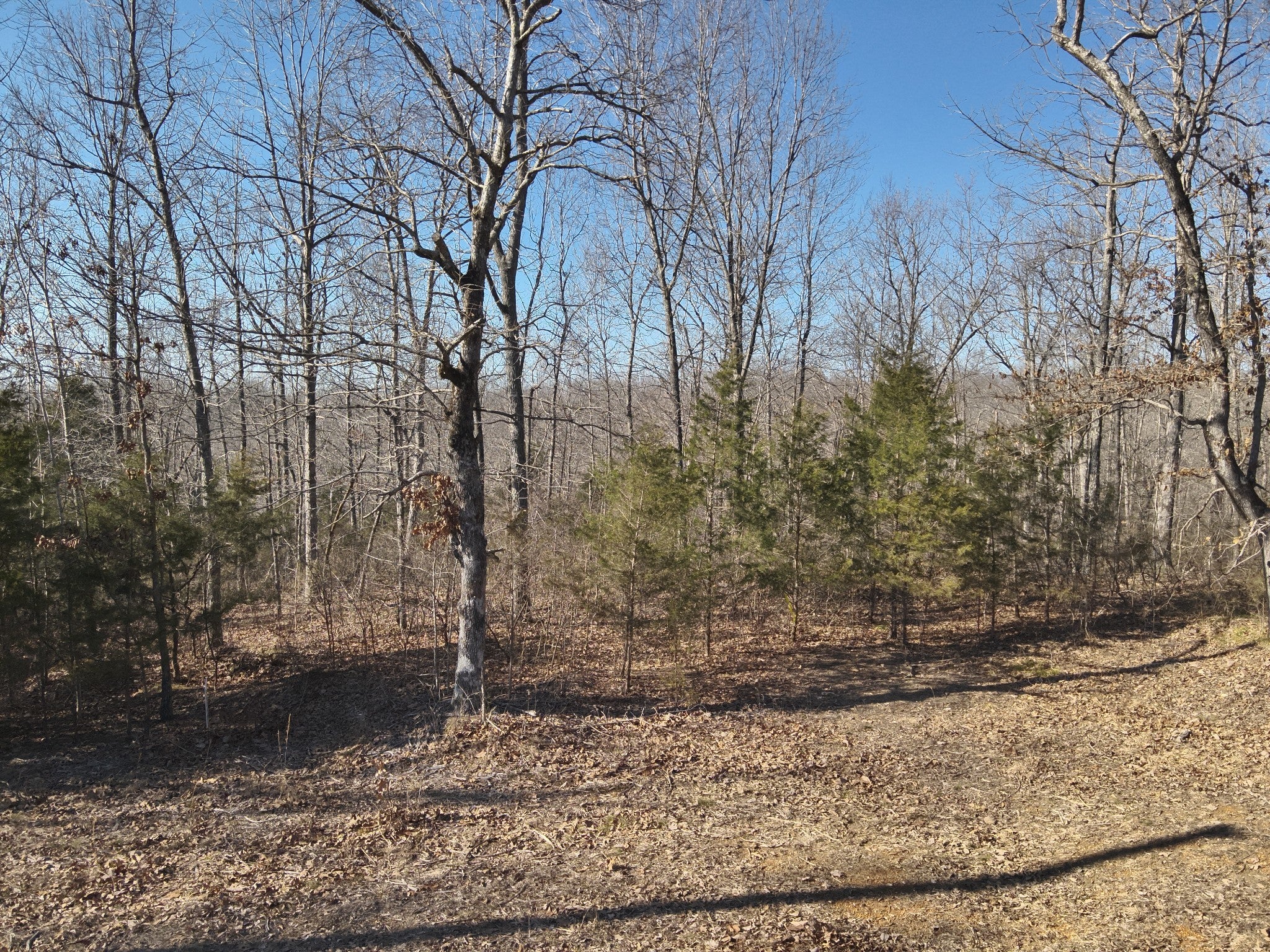 Photo of Listing #2784534