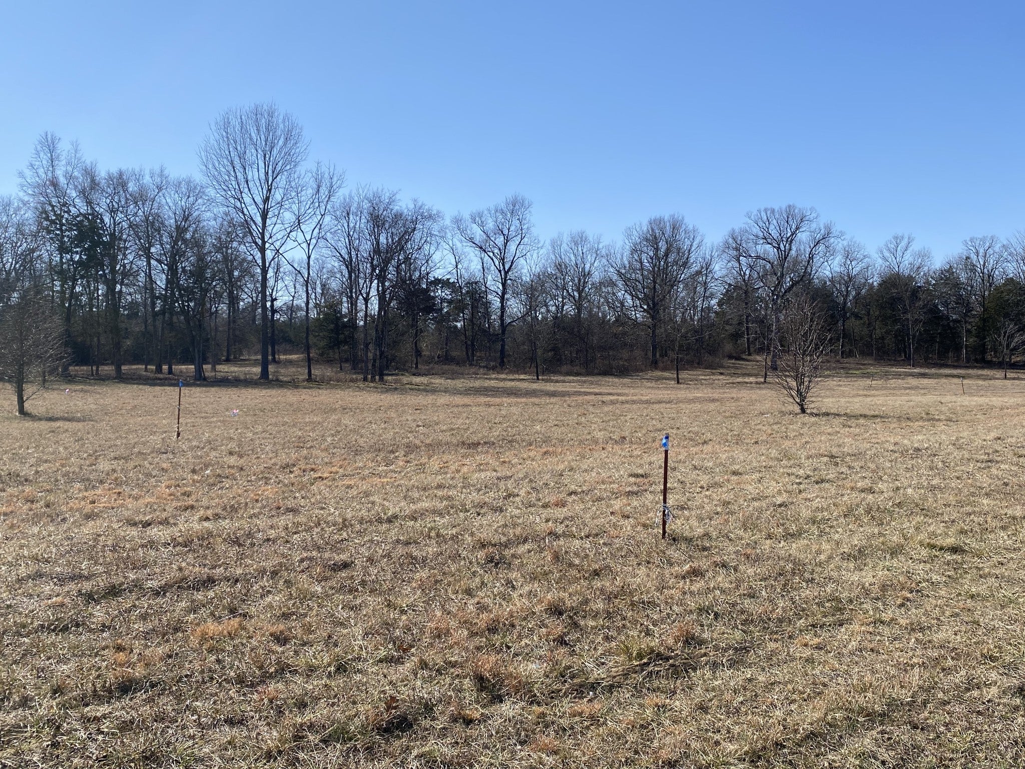 Photo of Listing #2784830