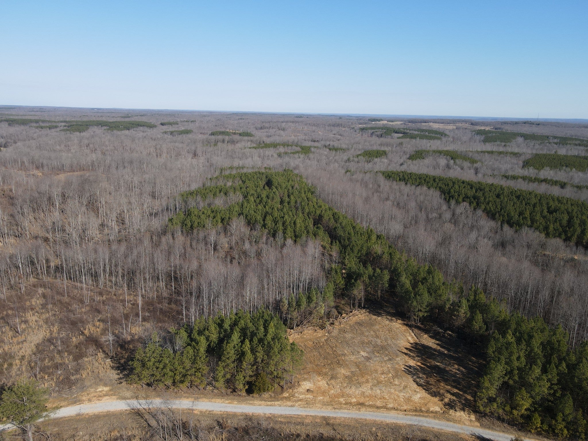 Photo of Listing #2784910