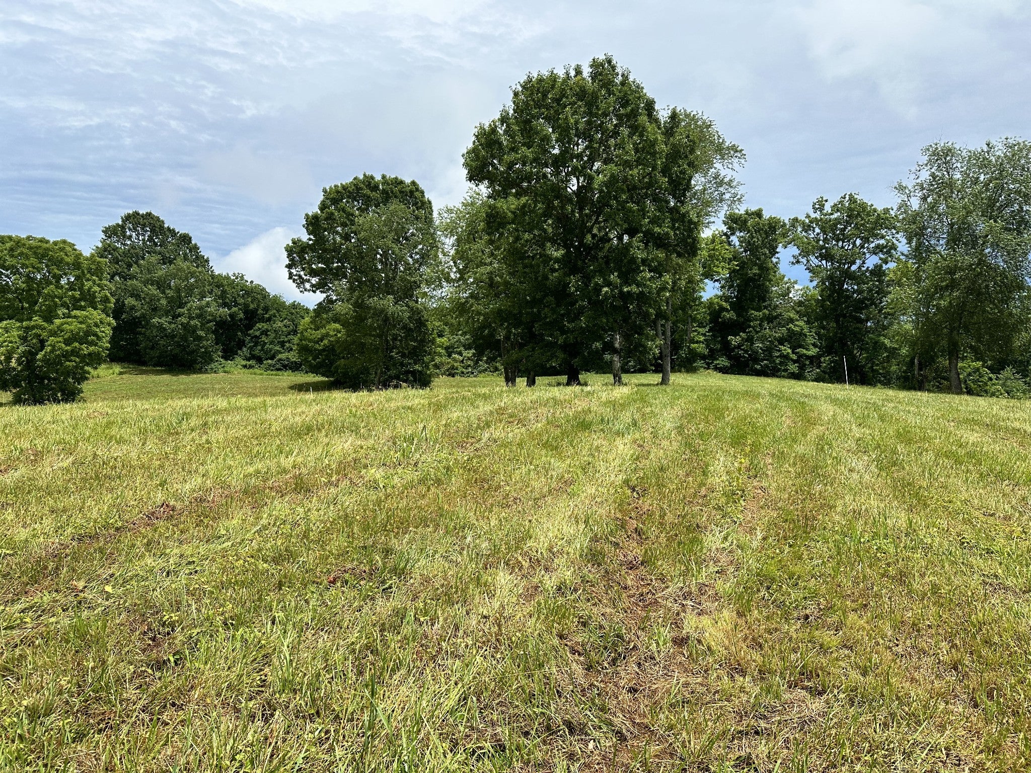 Photo of Listing #2785419