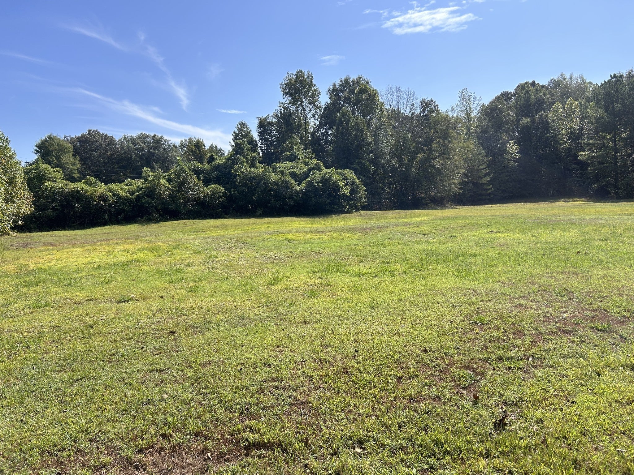 Photo of Listing #2786525
