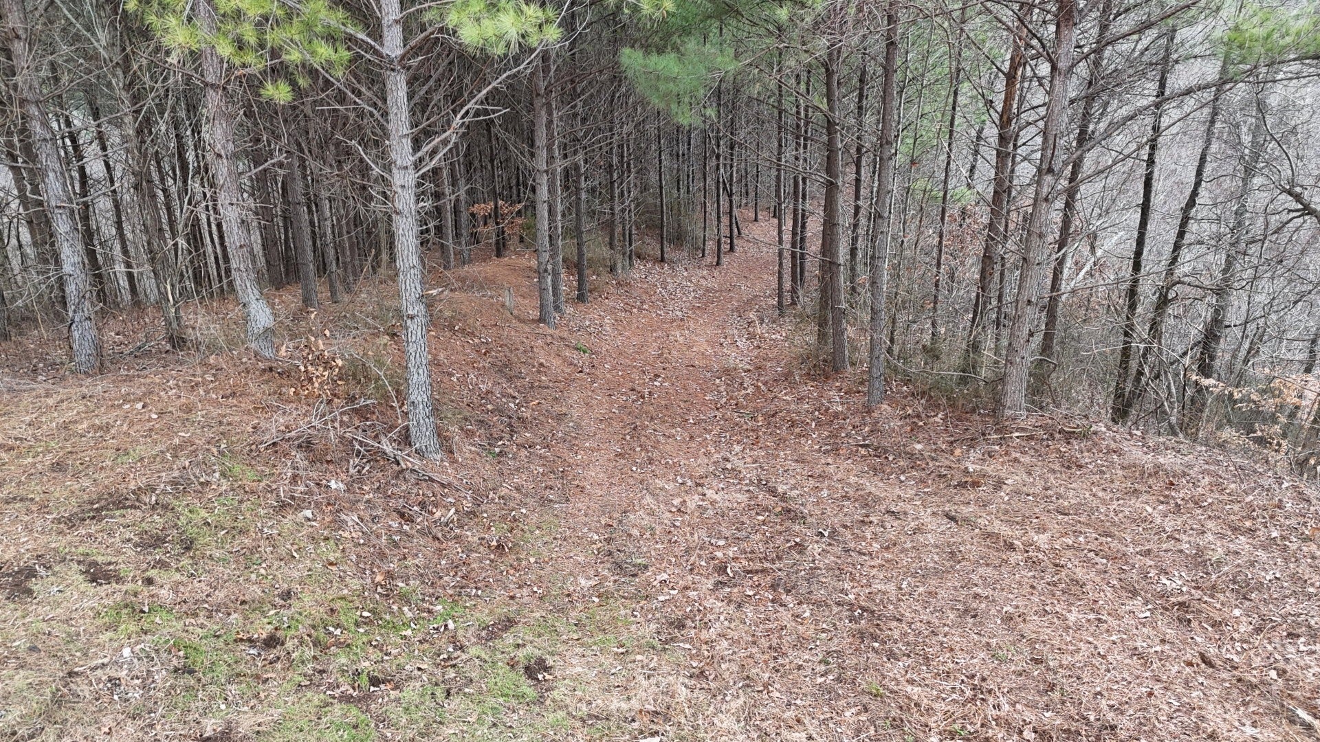 Photo of Listing #2786706