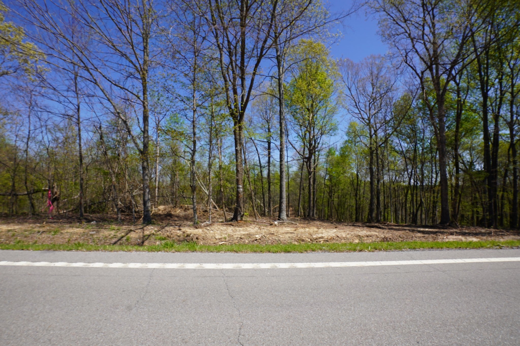 Photo of Listing #2786887