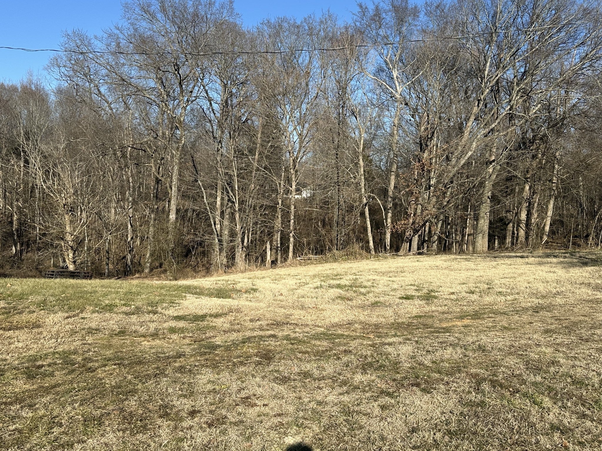 Photo of Listing #2787076