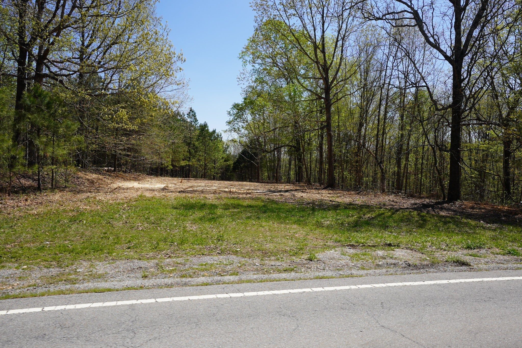 Photo of Listing #2788139