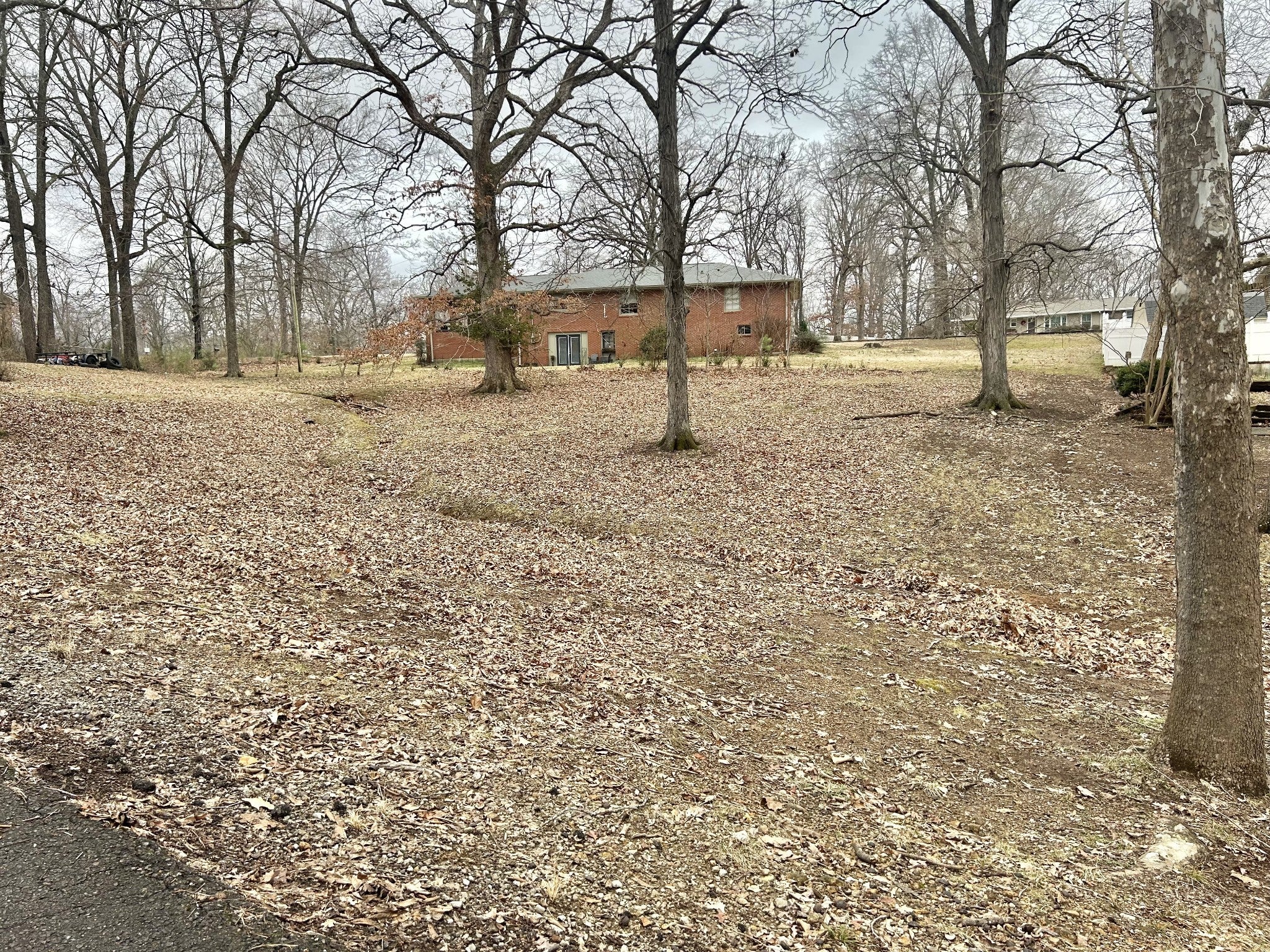 Photo of Listing #2788554