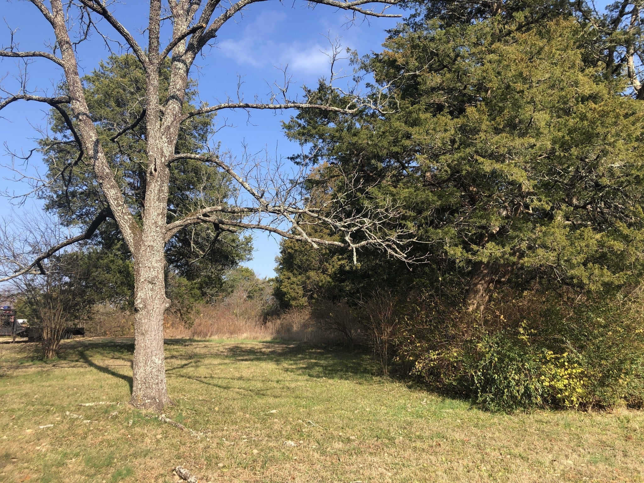 Photo of Listing #2788605
