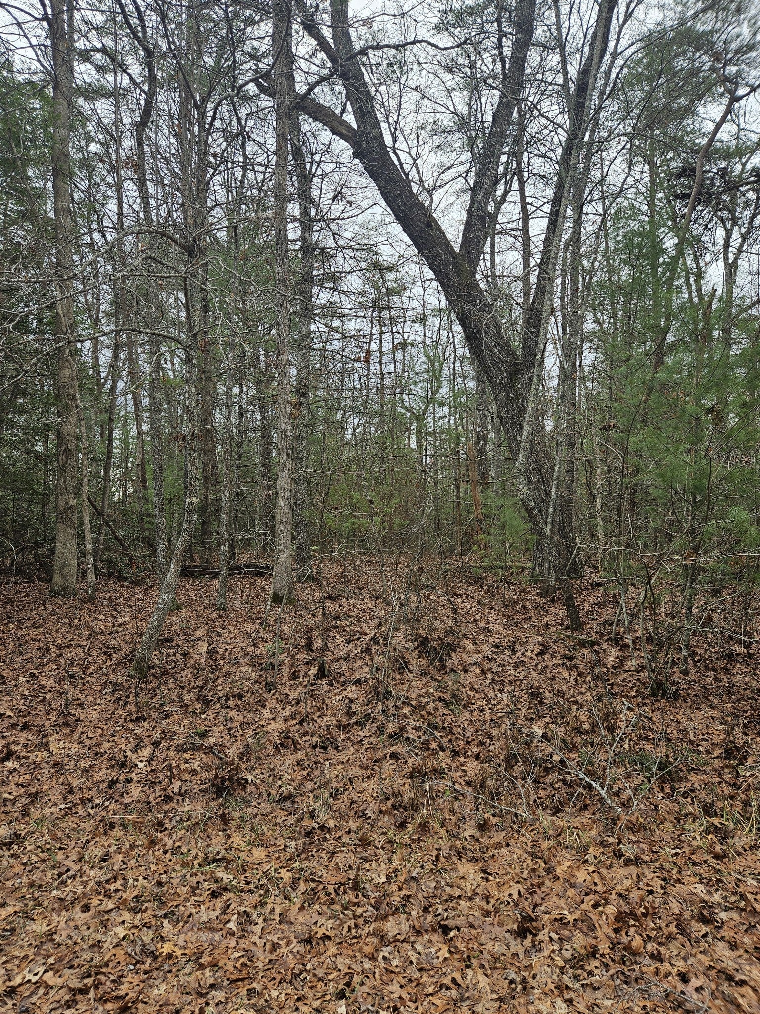 Photo of Listing #2789395