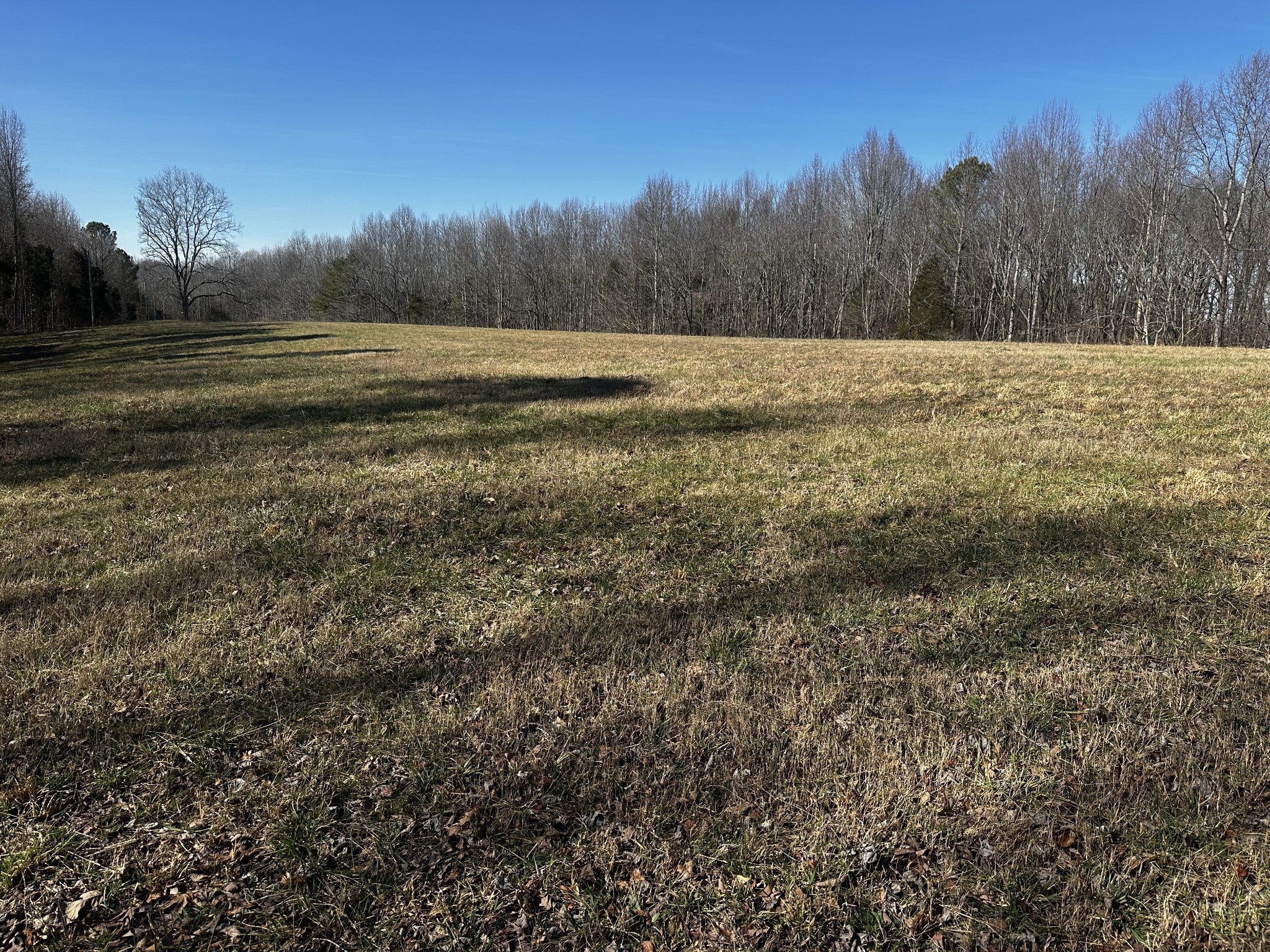 Photo of Listing #2790030