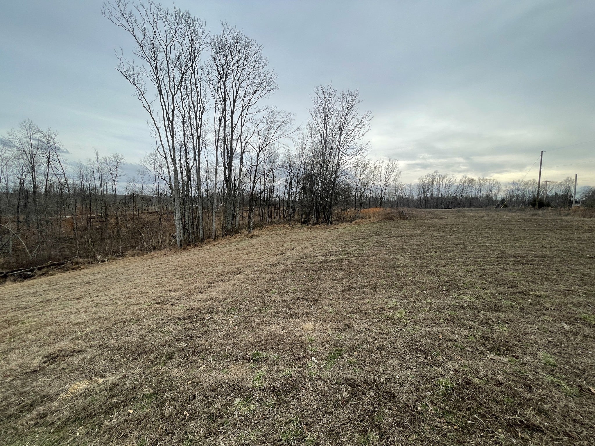 Photo of Listing #2790055