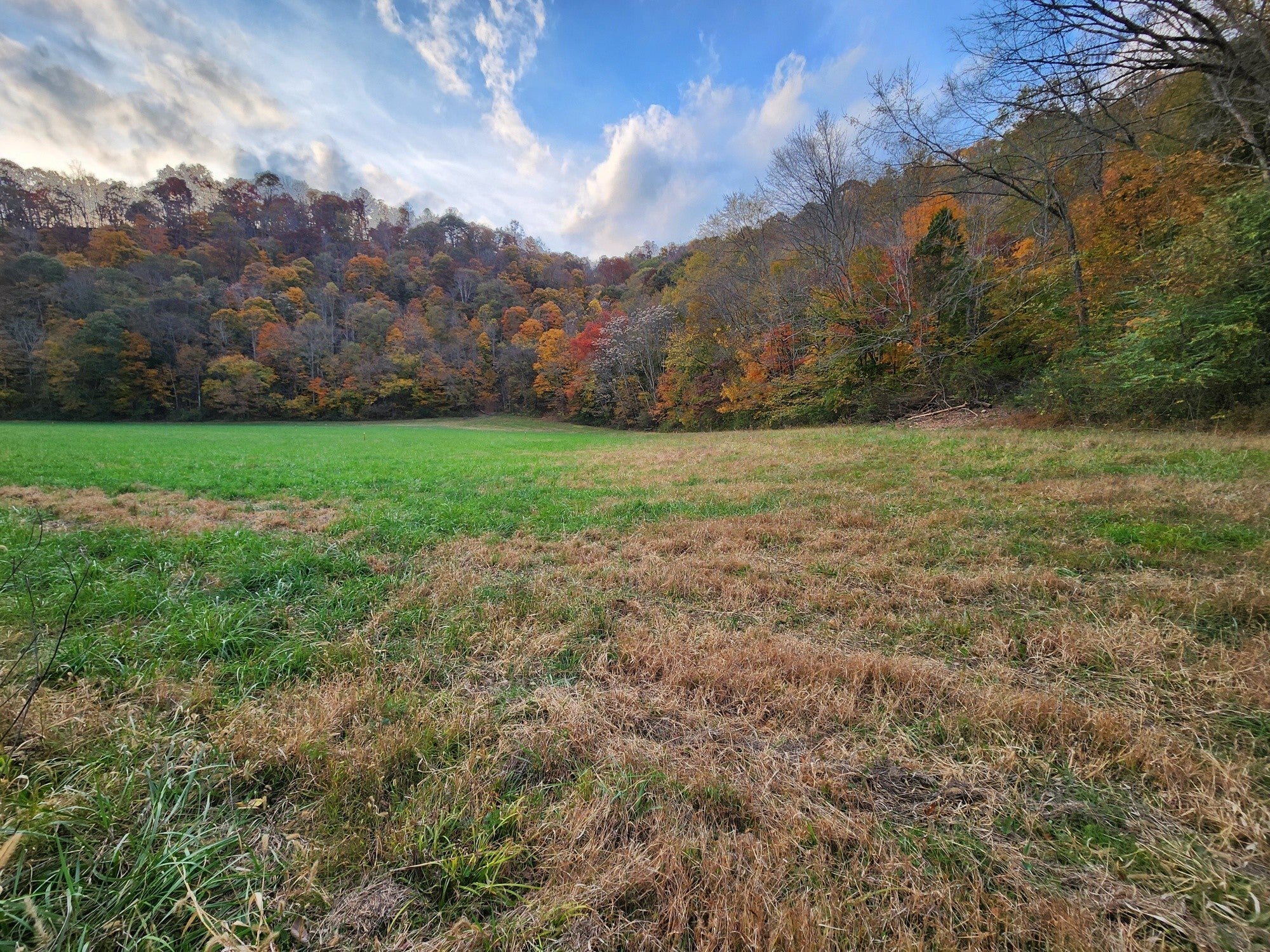 Photo of Listing #2791084