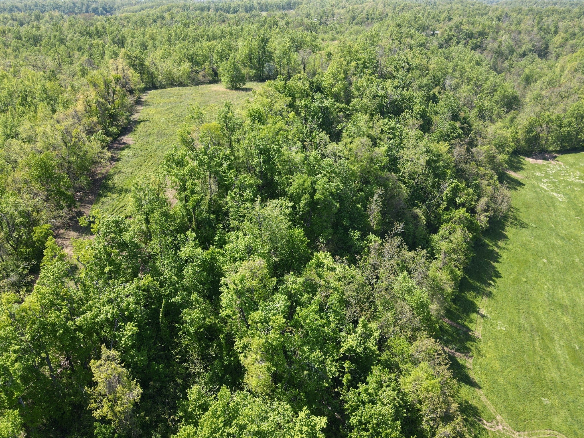 Photo of Listing #2791501