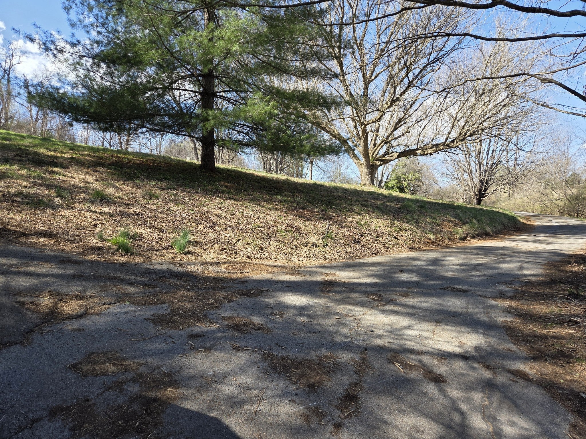 Photo of Listing #2792218