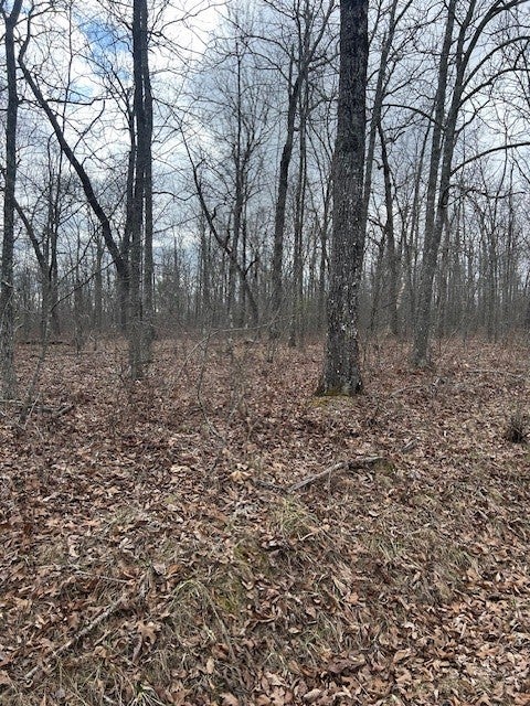 Photo of Listing #2792847