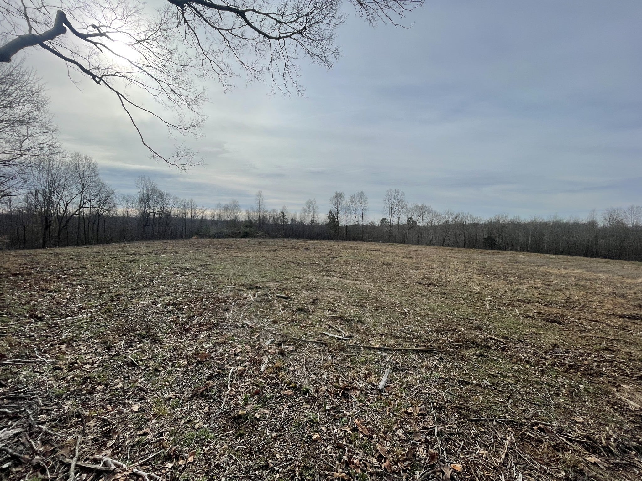 Photo of Listing #2793154