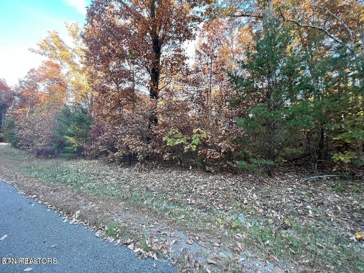Photo of Listing #2793865