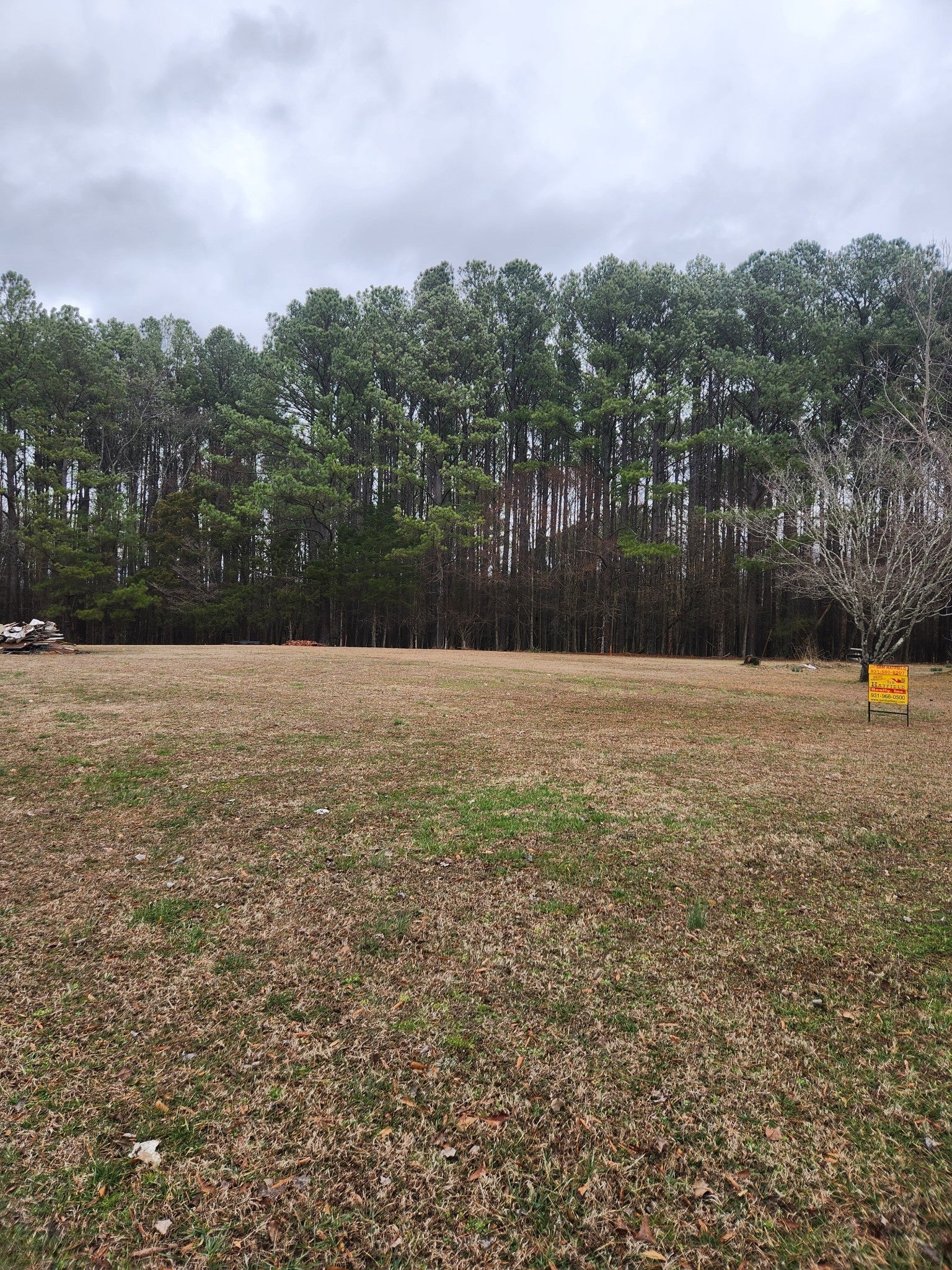 Photo of Listing #2793918