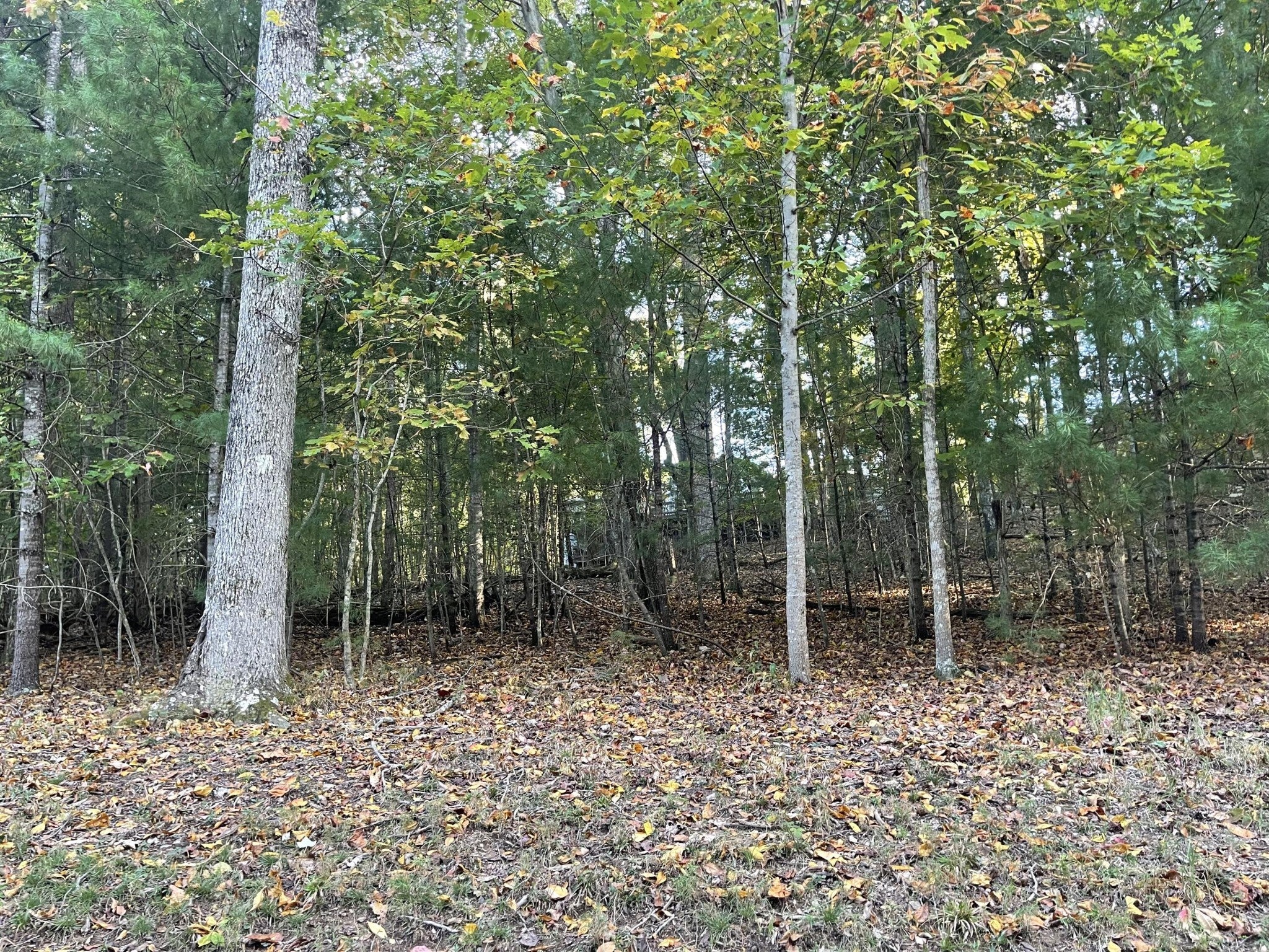 Photo of Listing #2794503