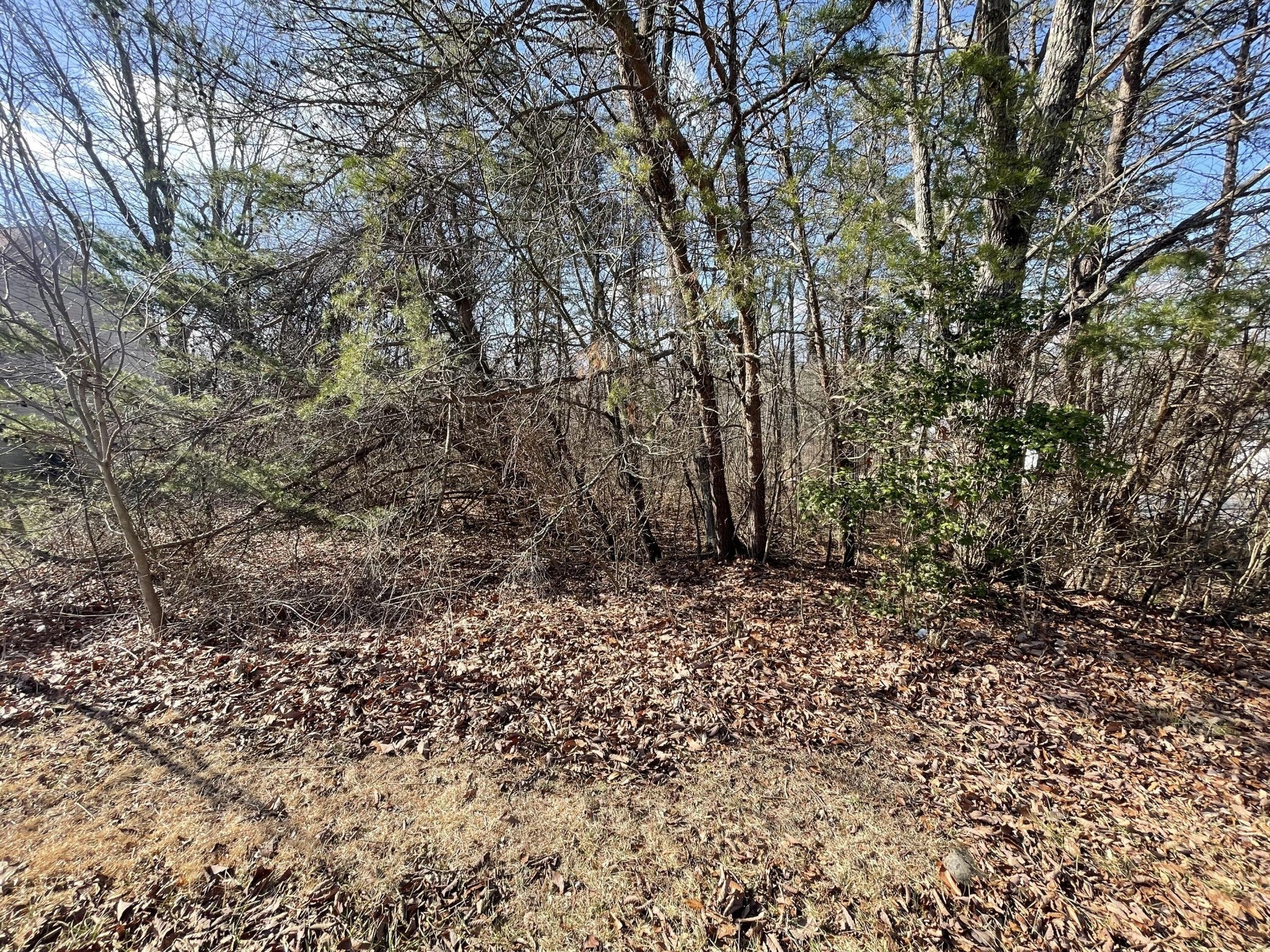 Photo of Listing #2794512