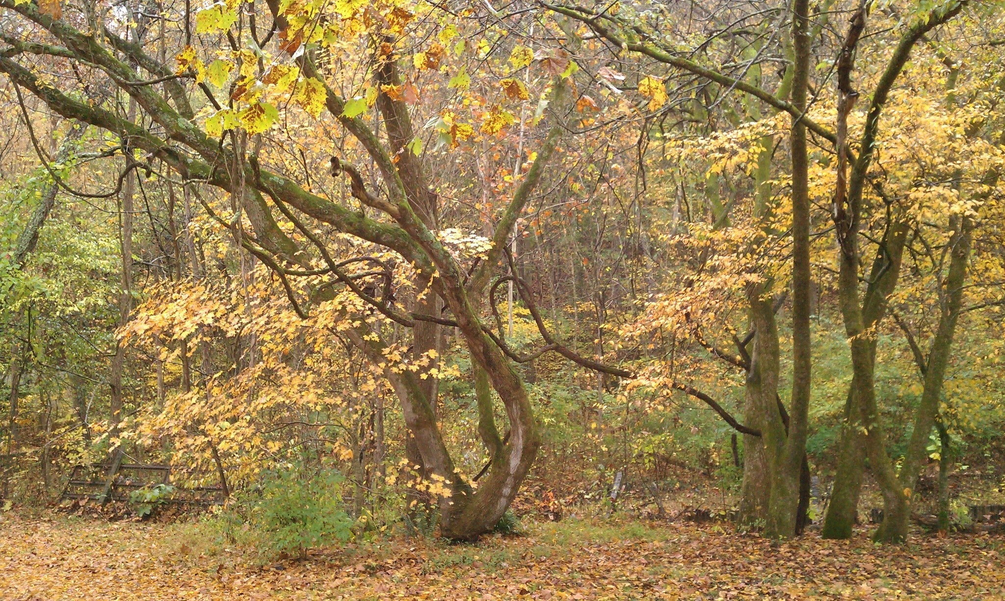 Home for sale in 4091 New Highway 96 W Franklin, TN