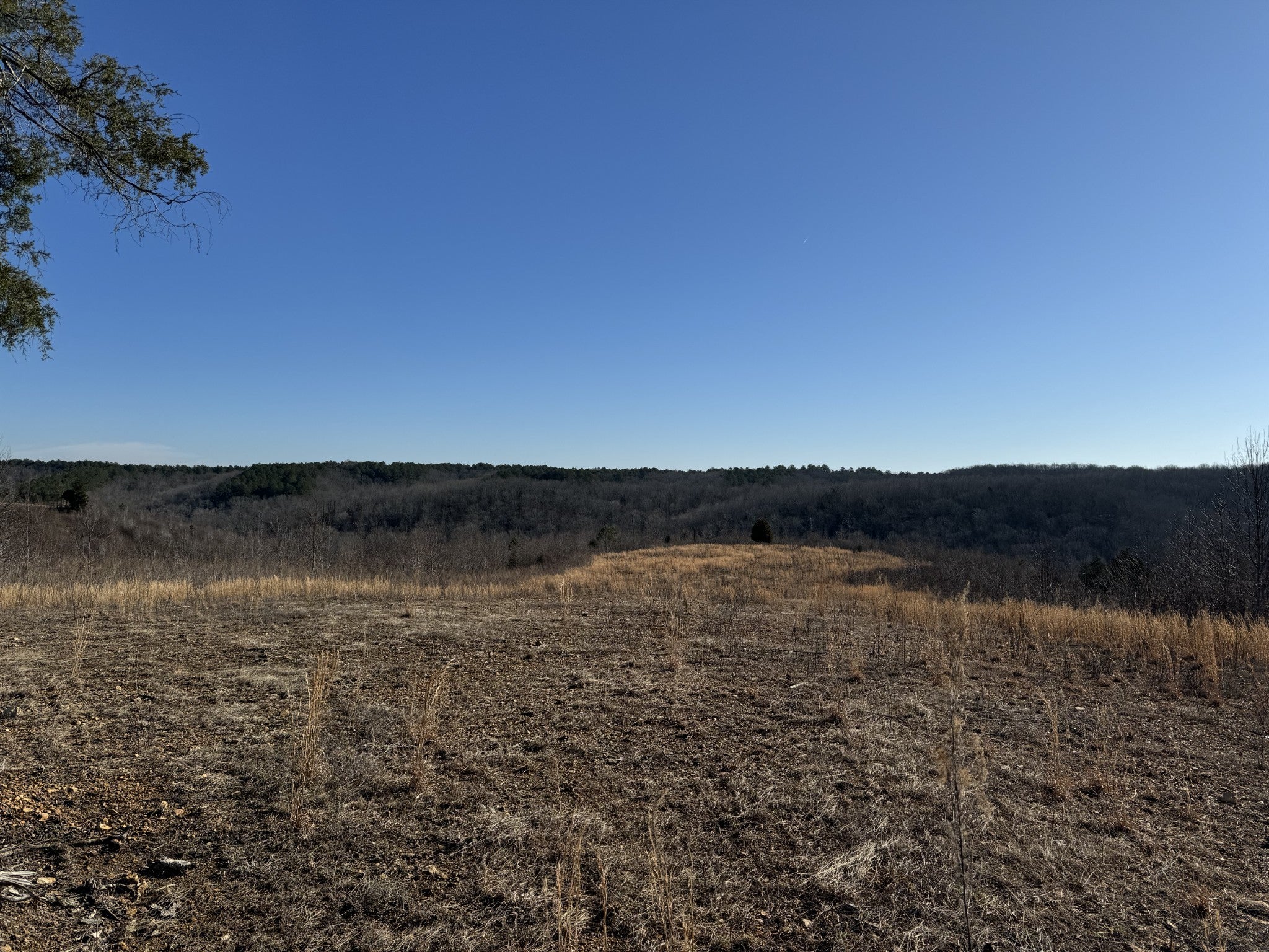 Photo of Listing #2794970