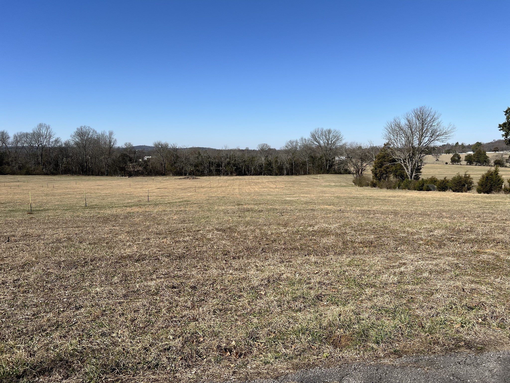 Photo of Listing #2795304