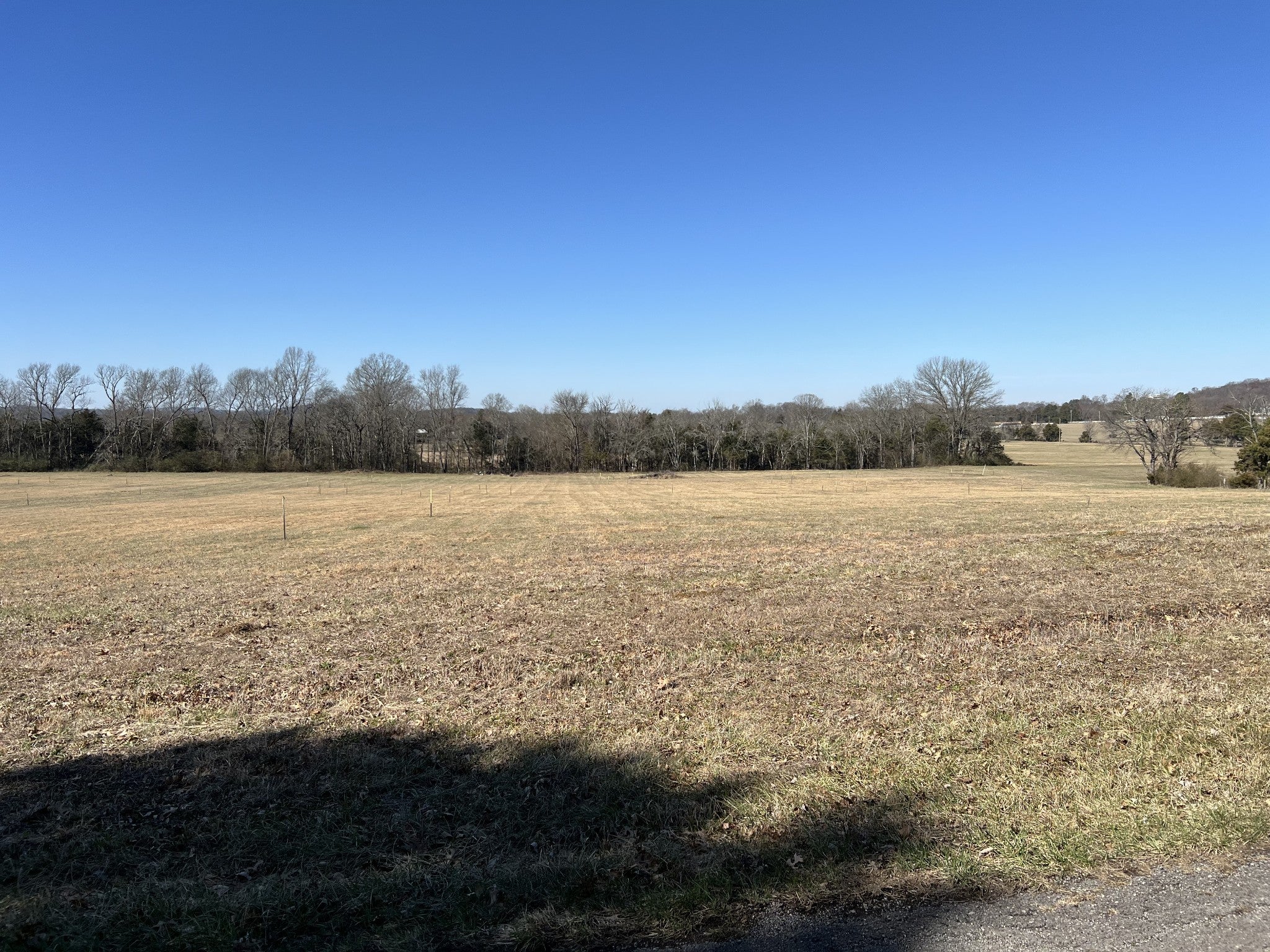Photo of Listing #2795305