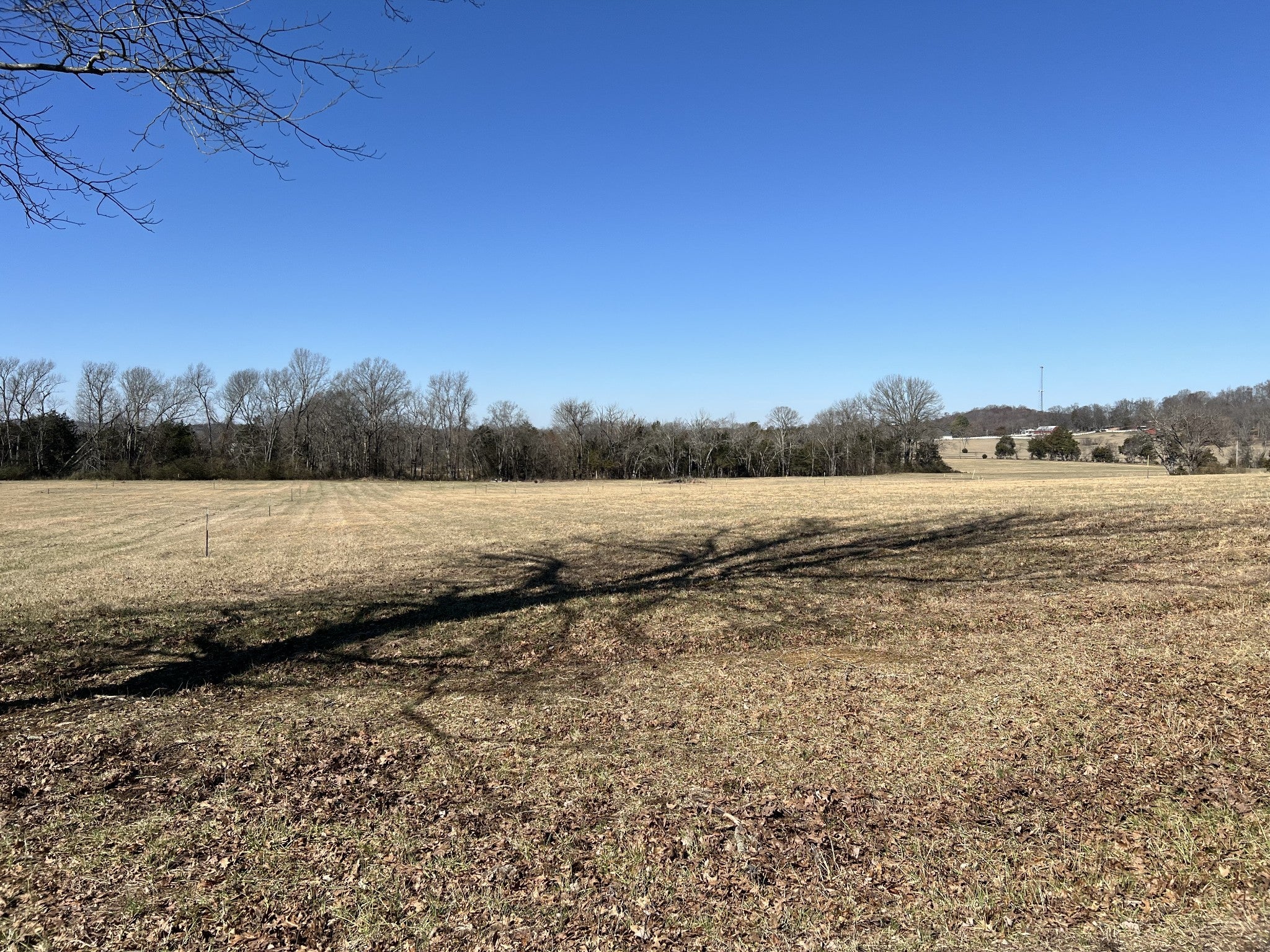 Photo of Listing #2795306